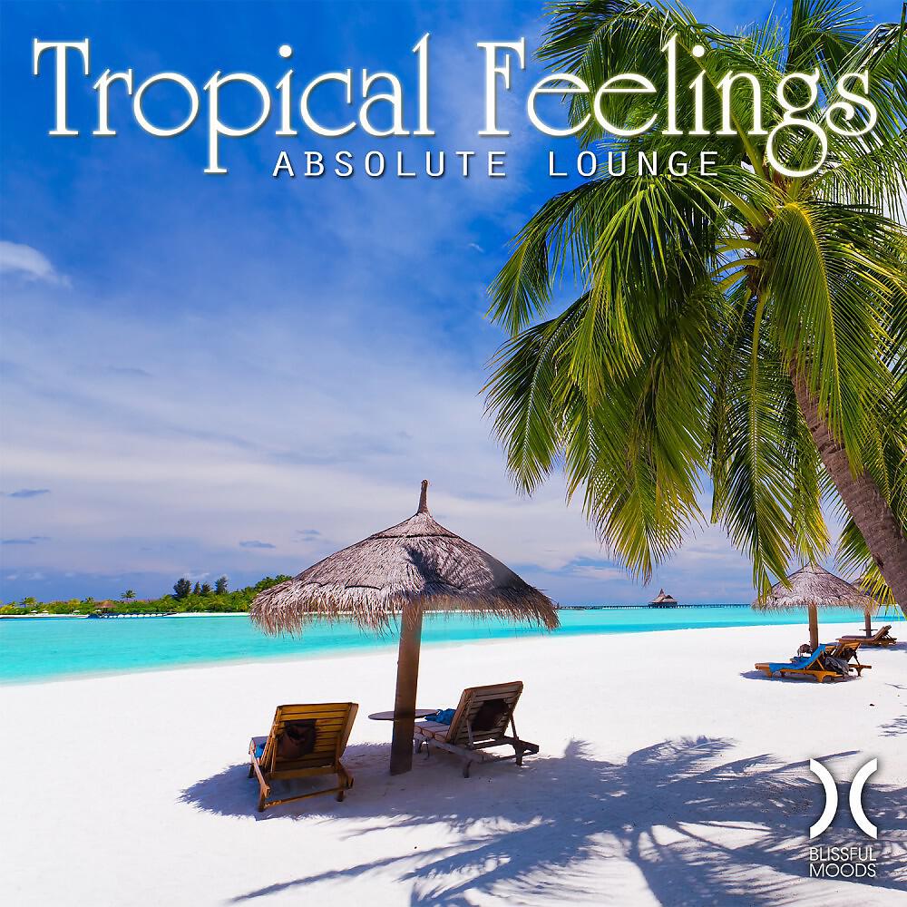 Релиз Tropical Feelings - Absolute Lounge
