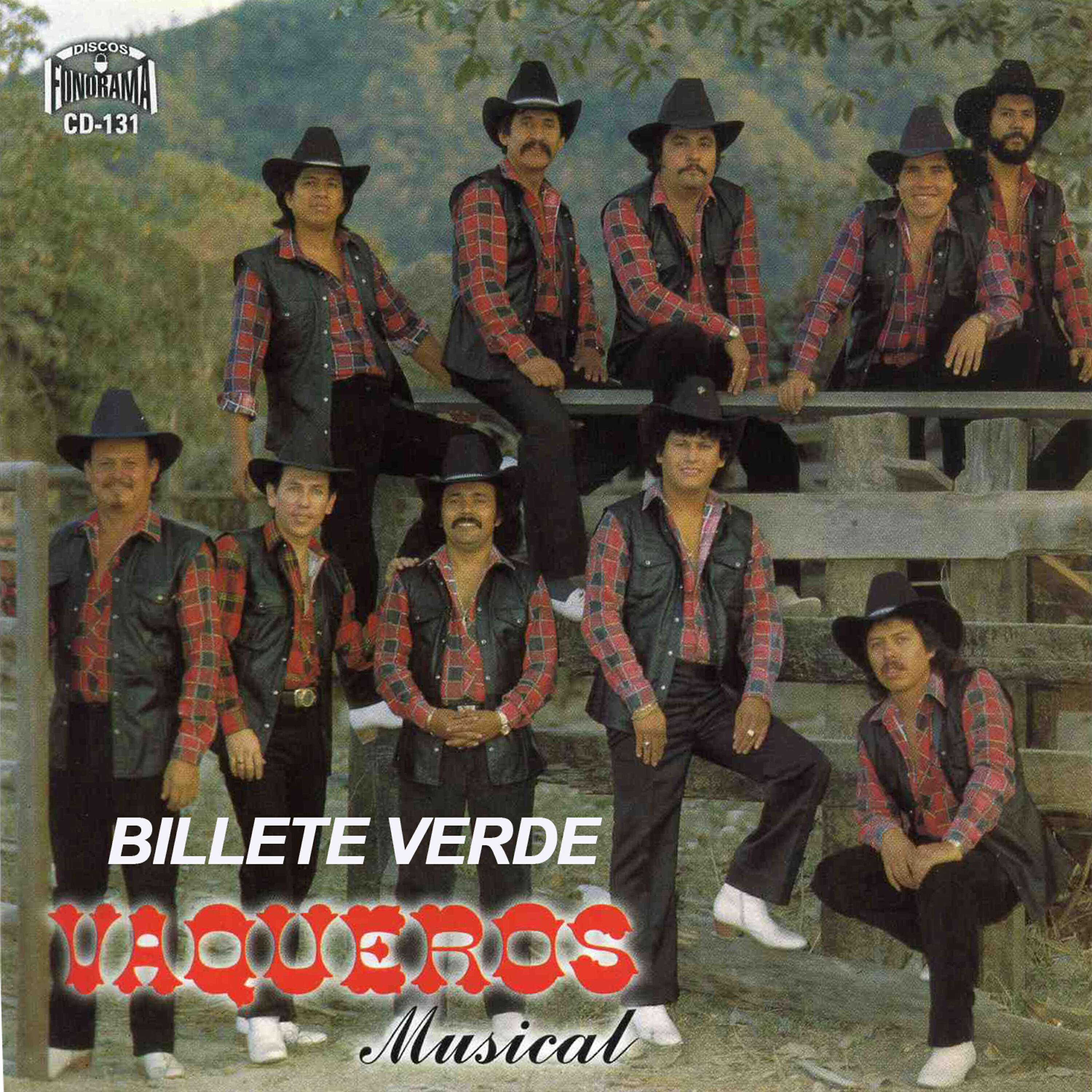 Релиз Billete Verde