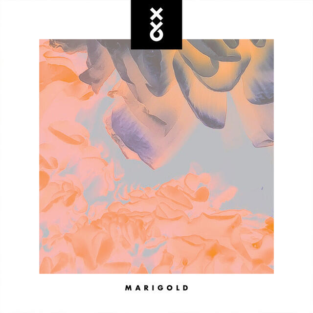 Релиз Marigold