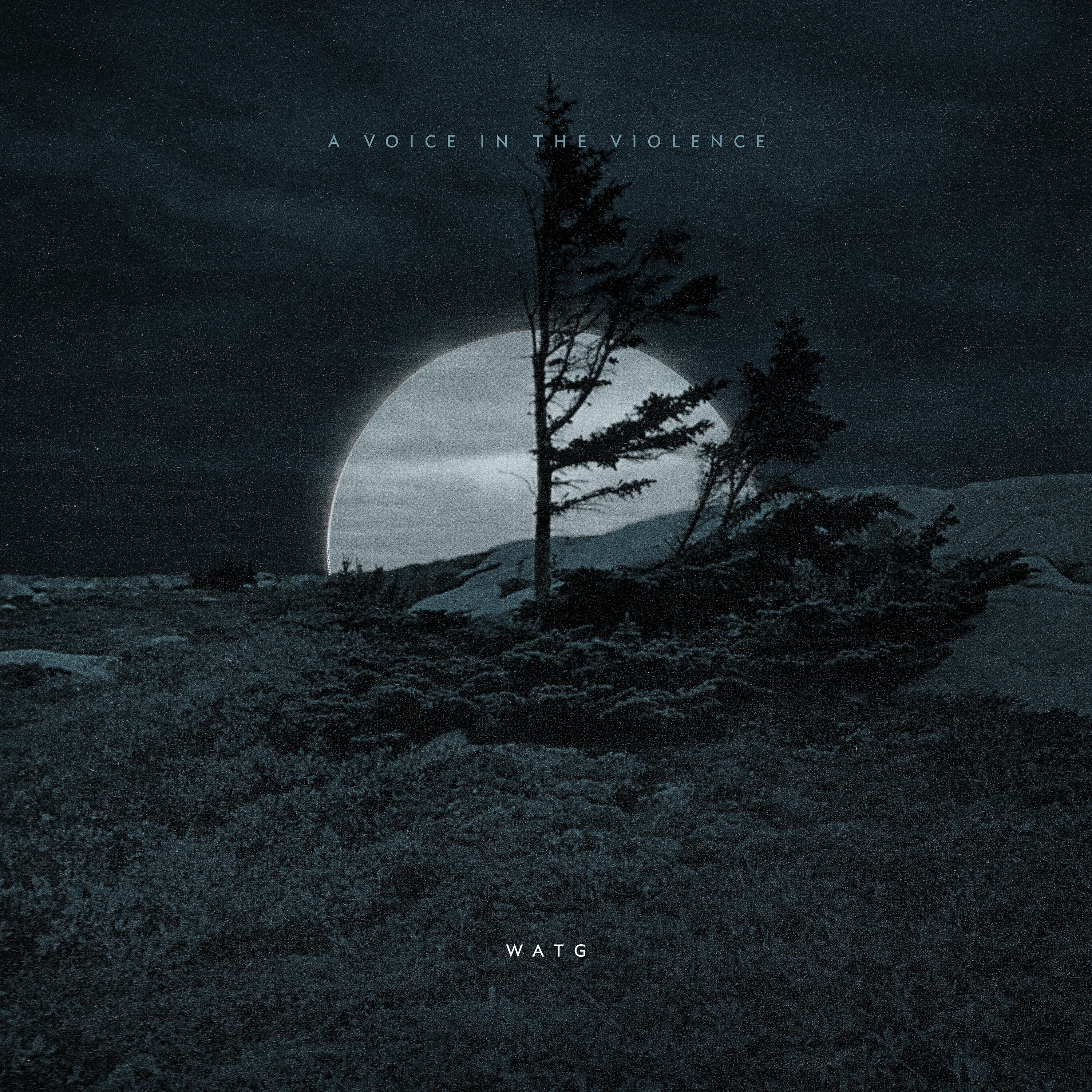 Релиз A Voice in the Violence