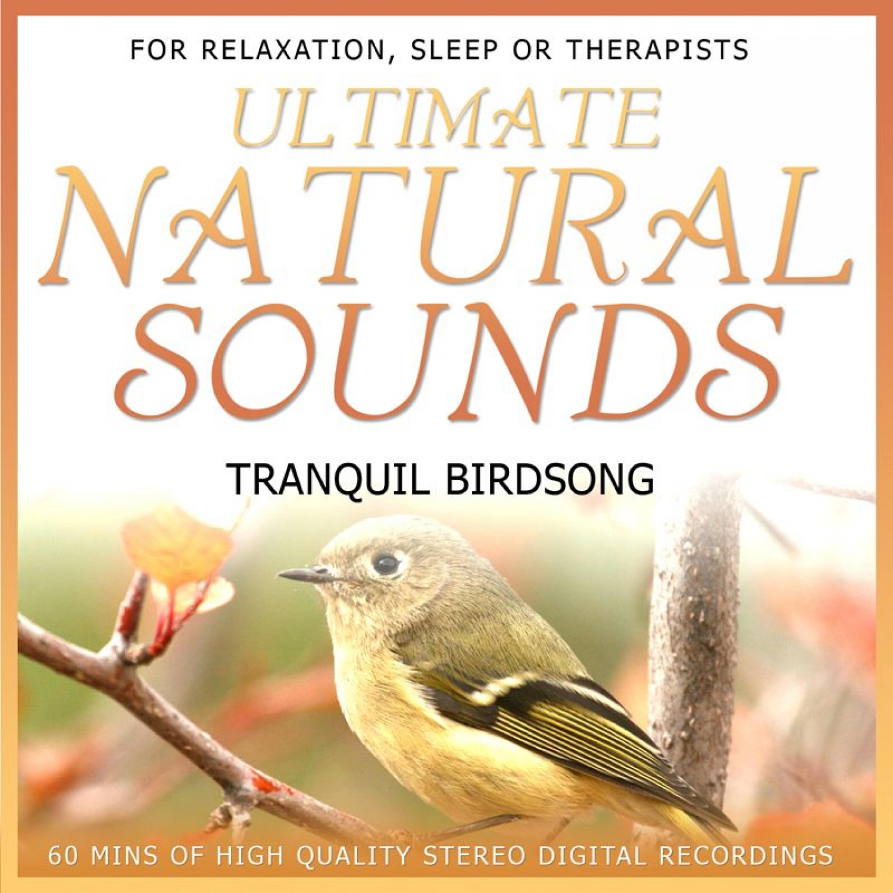 Релиз Ultimate Natural Sounds - Tranquil Birdsong
