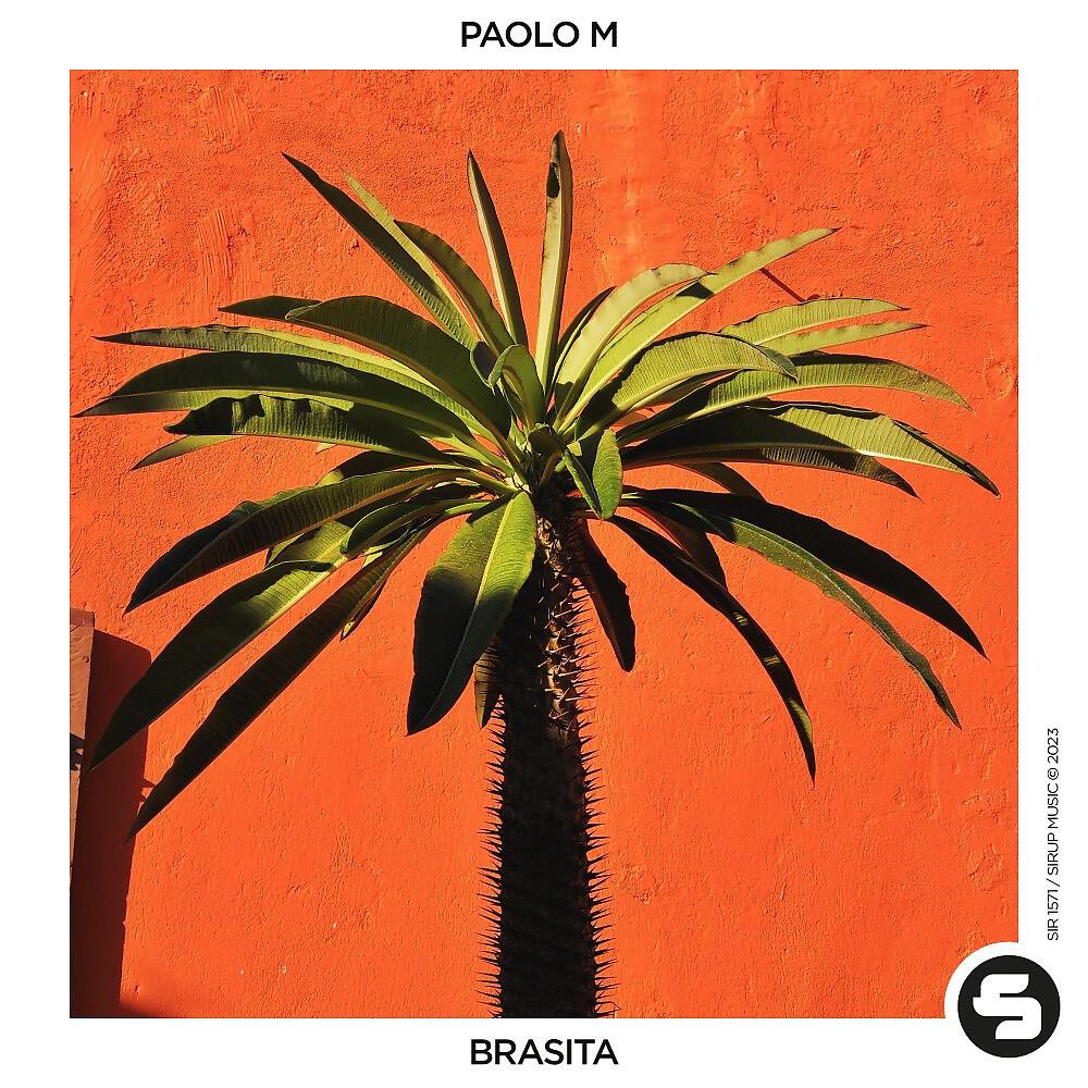 Релиз Brasita