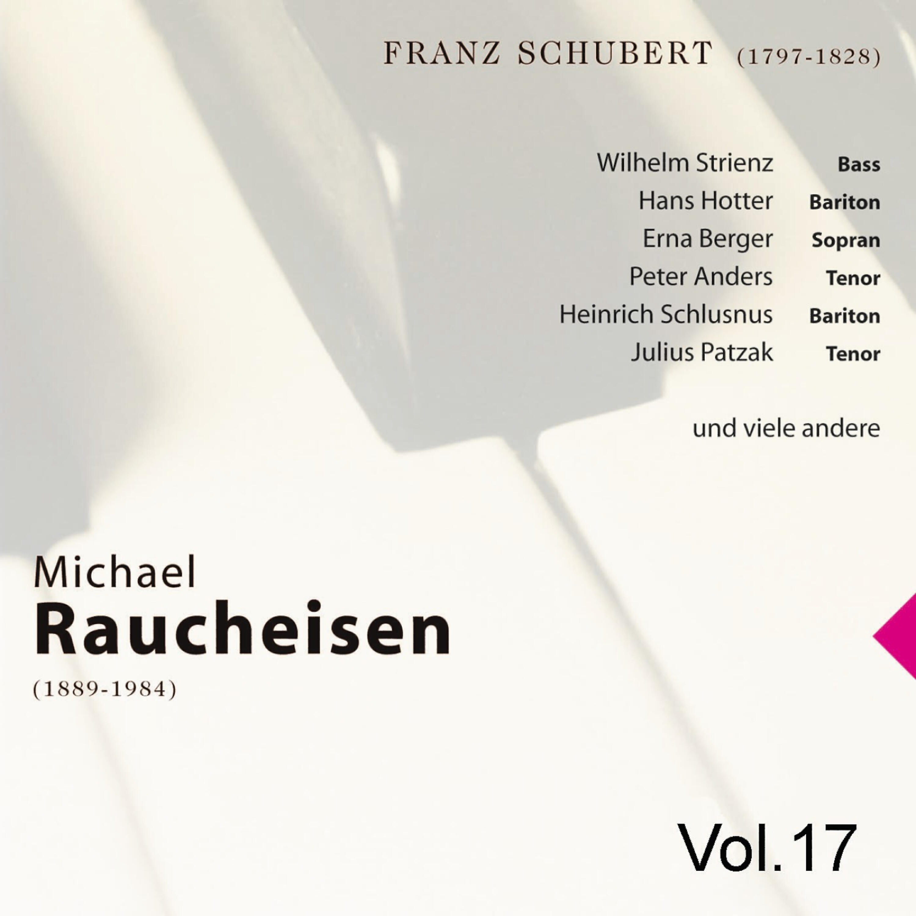 Релиз Michael Raucheisen Vol. 17