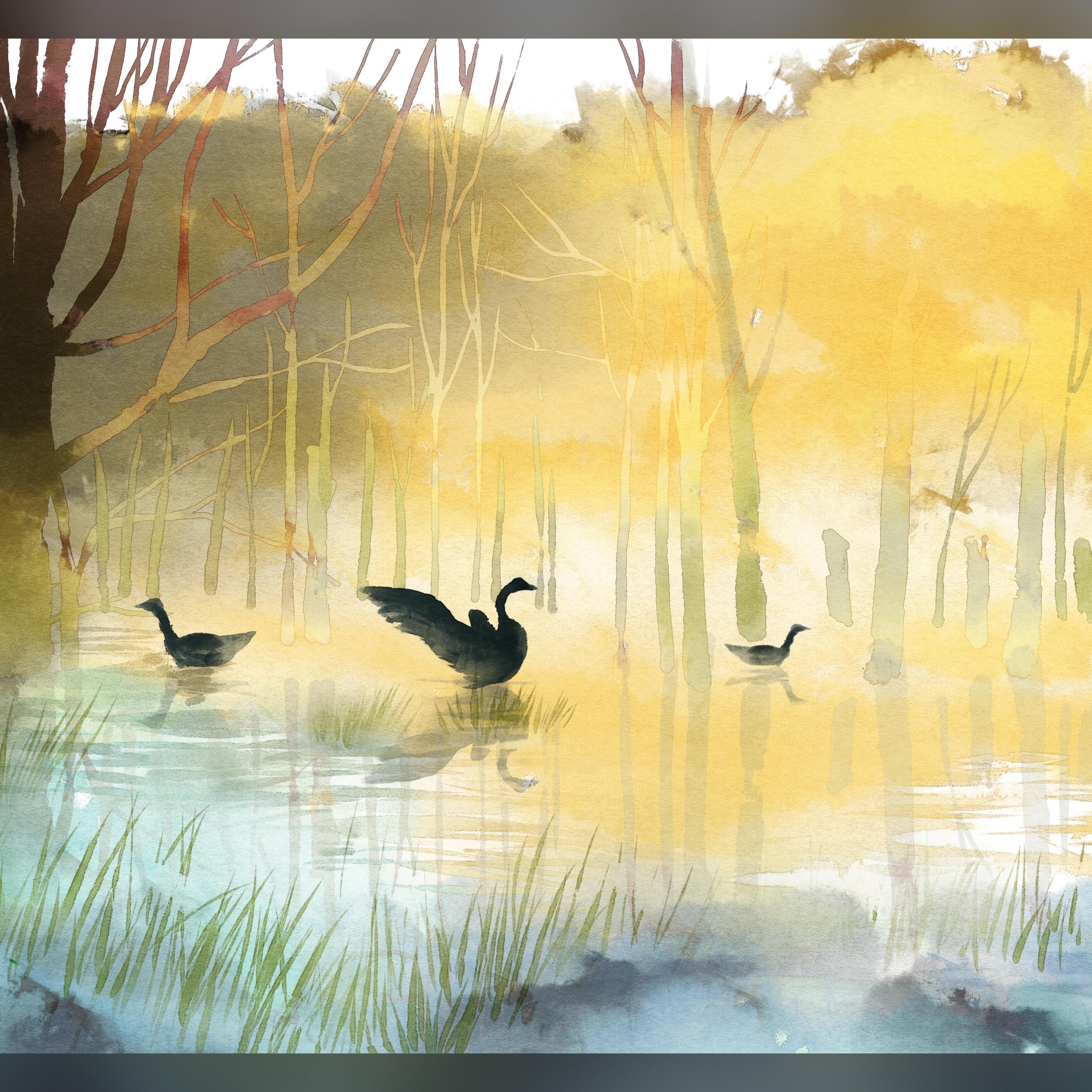 Релиз 圆梦的中国幸福多