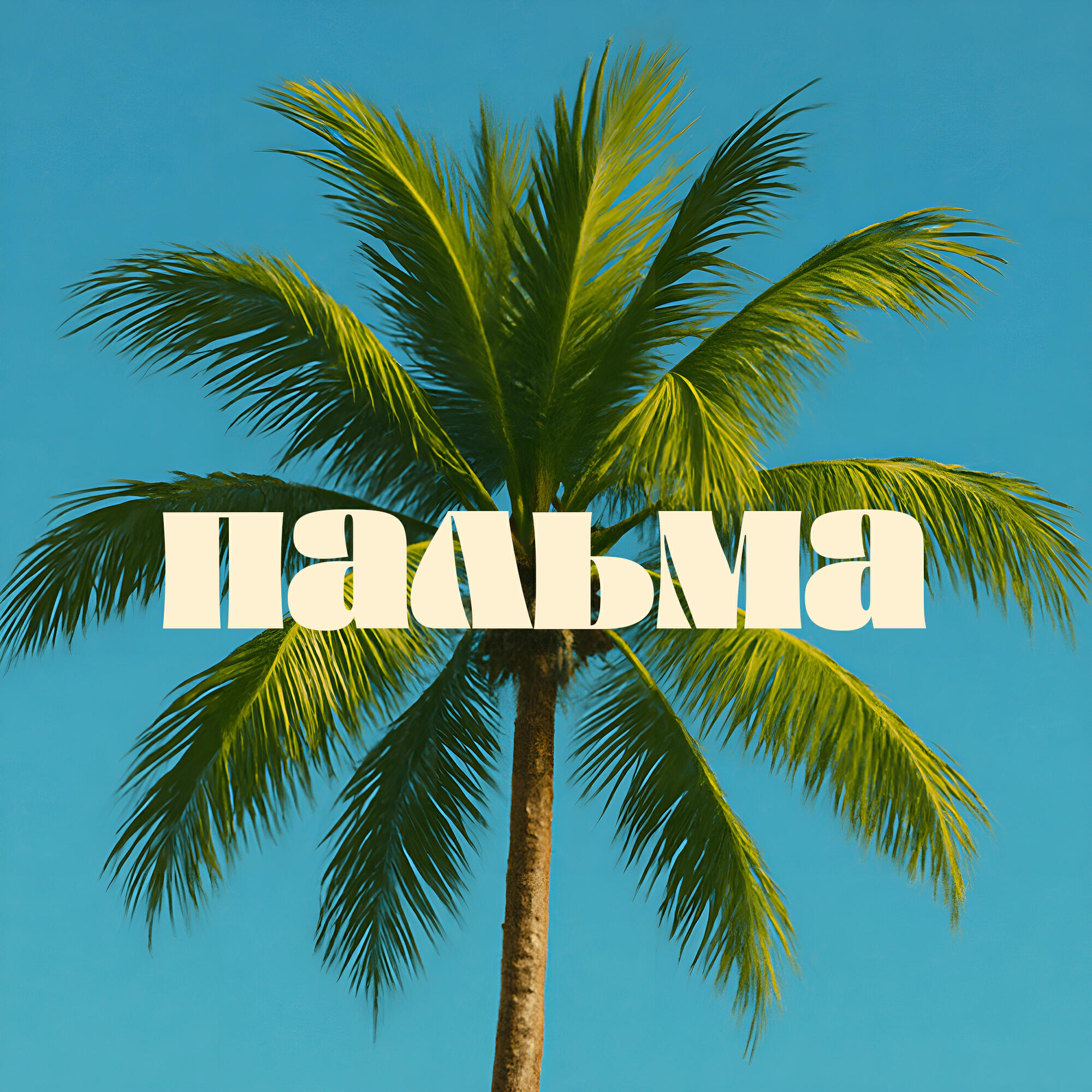 Релиз Пальма