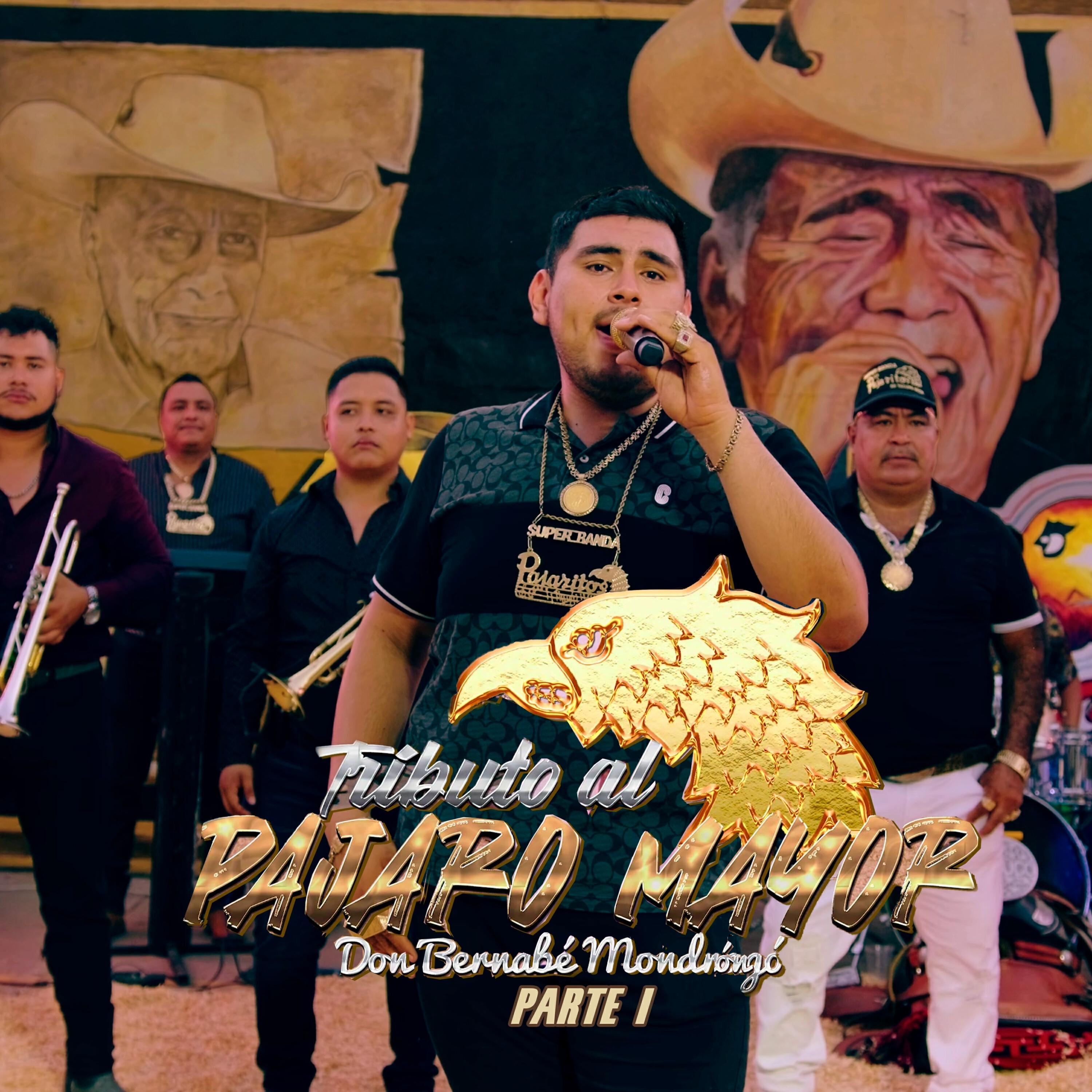 Релиз Tributo al Pajaro Mayor, Pt.1 (En Vivo)