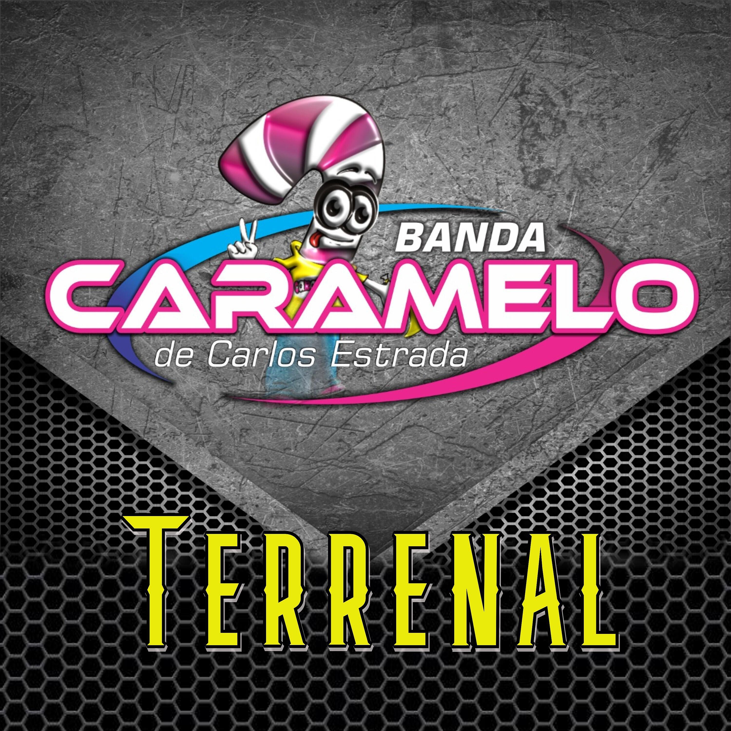 Релиз Terrenal
