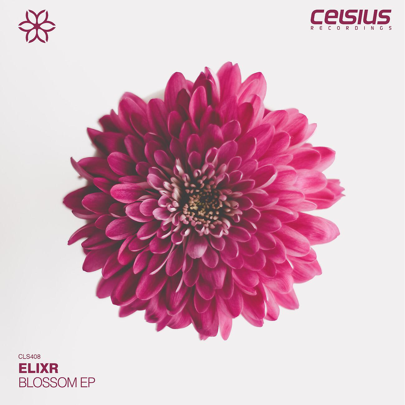 Релиз Blossom EP