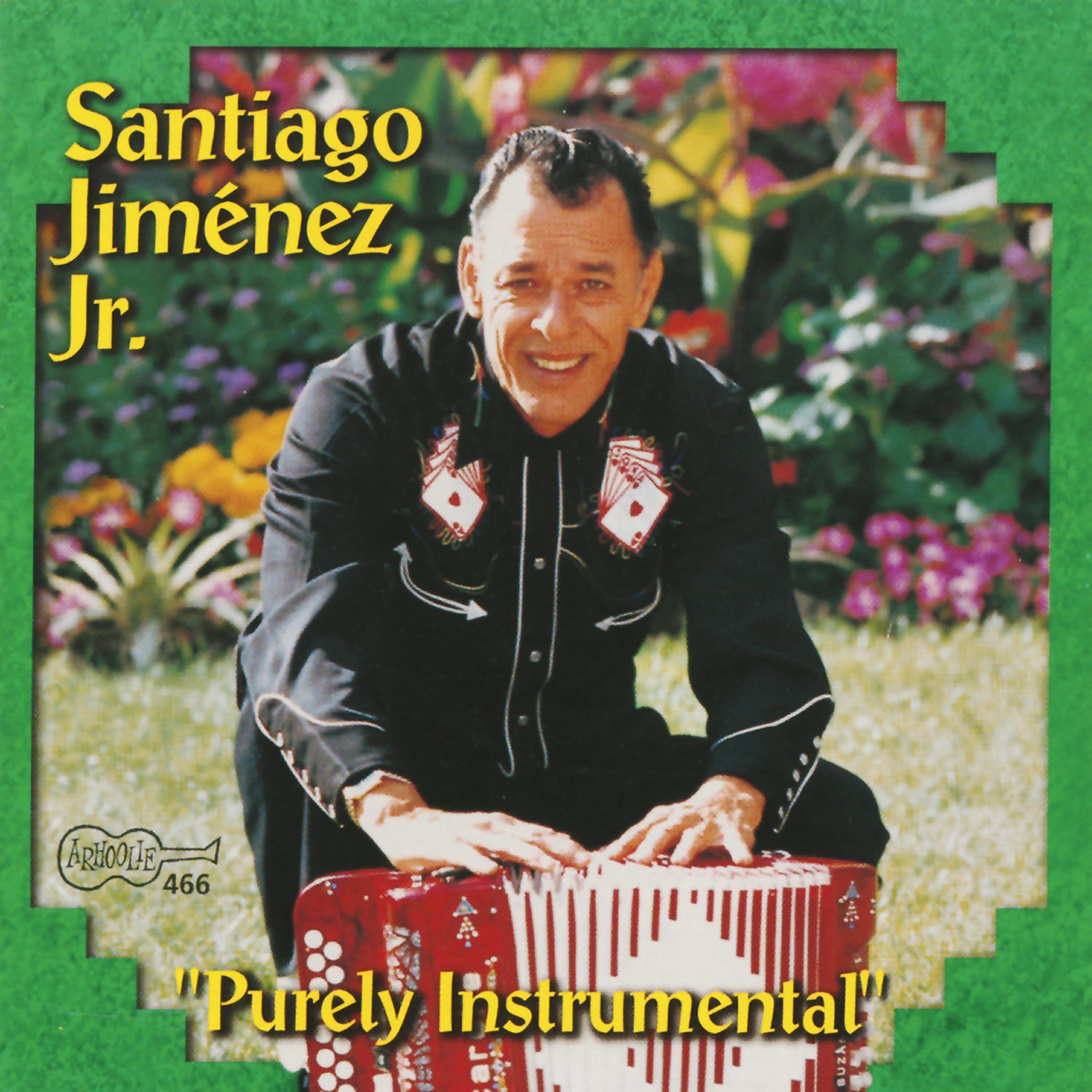 Релиз Purely Instrumental