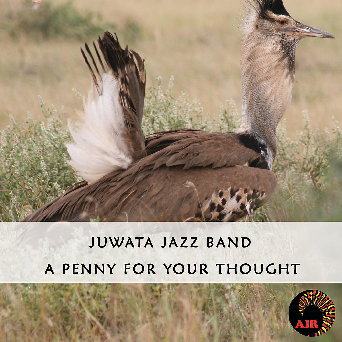 Релиз A Penny For Your Thought