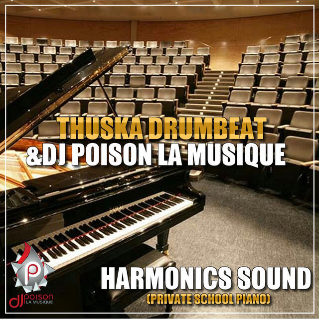 Релиз Harmonics Sound (Private School Piano)