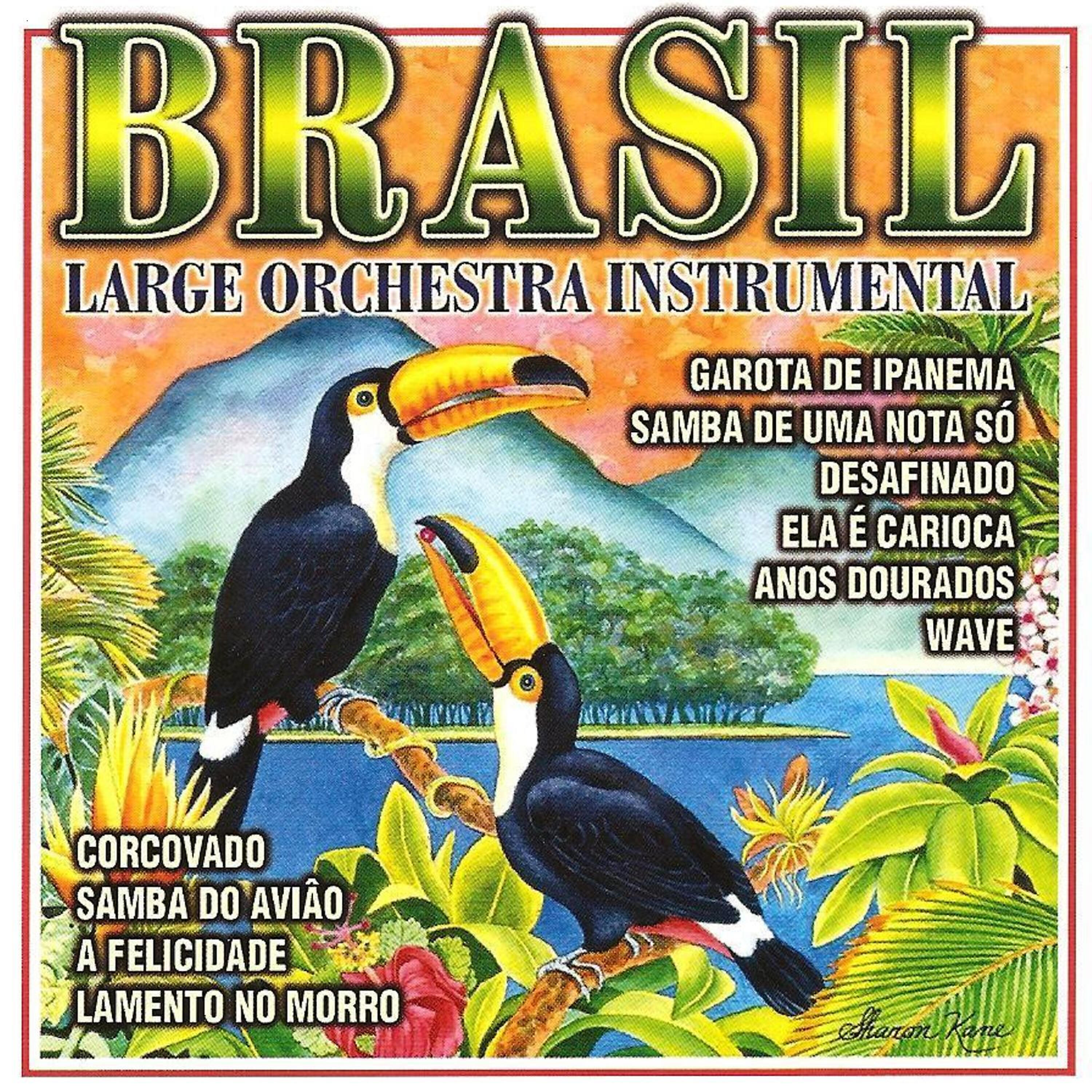 Релиз Brasil-Instrumental