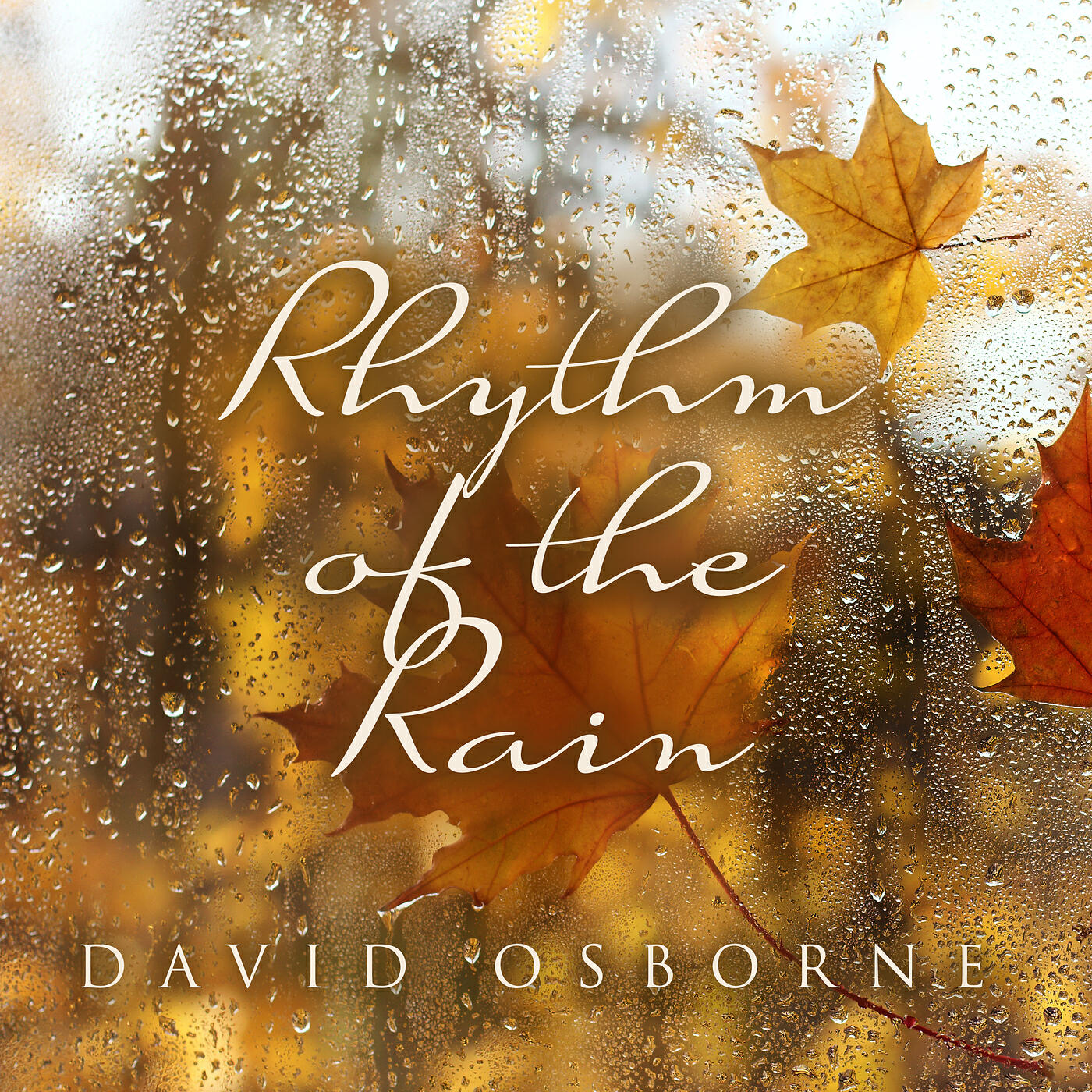 Релиз Rhythm of the Rain