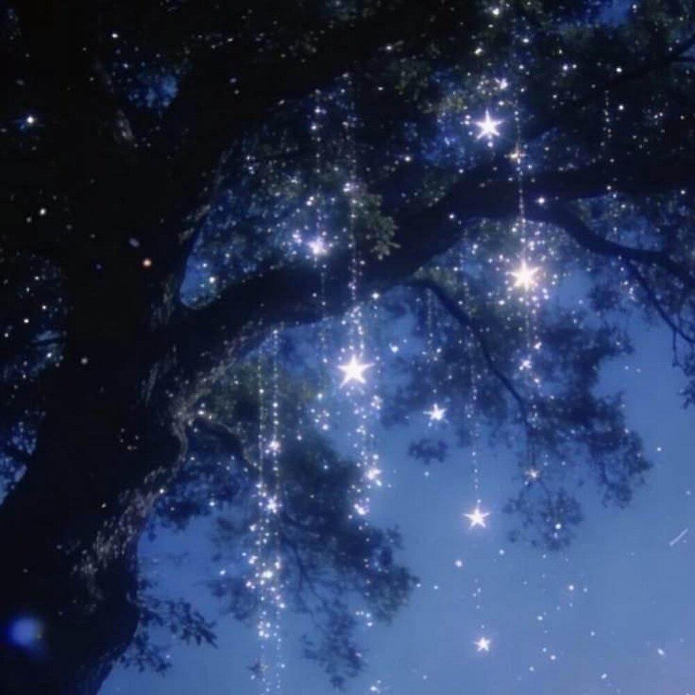 Релиз STAR