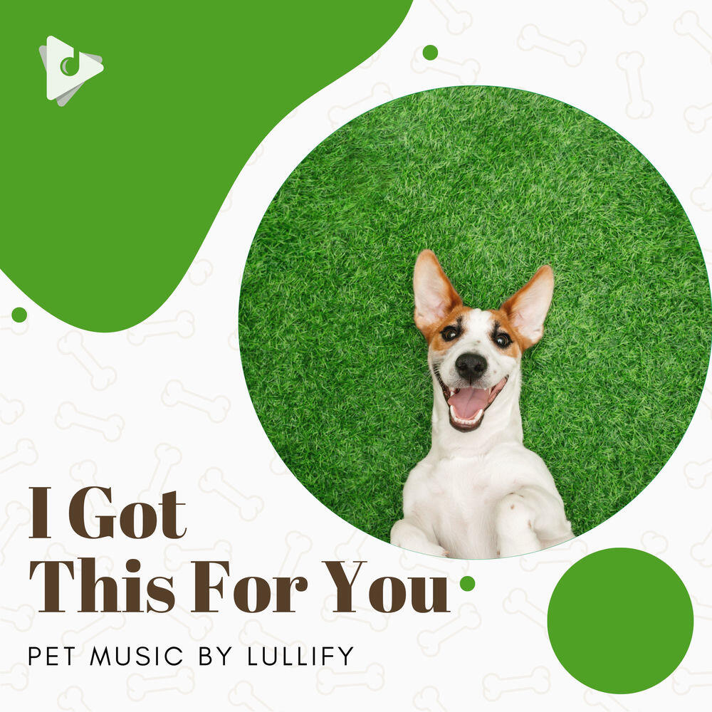 Релиз I Got This For You