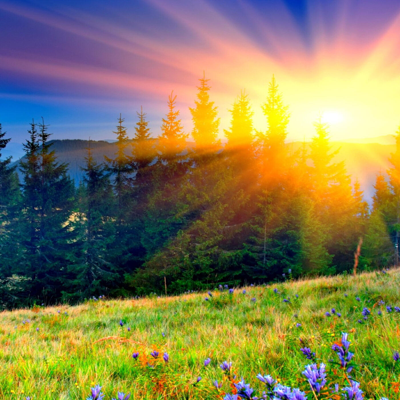 Релиз The Birth of a New Day