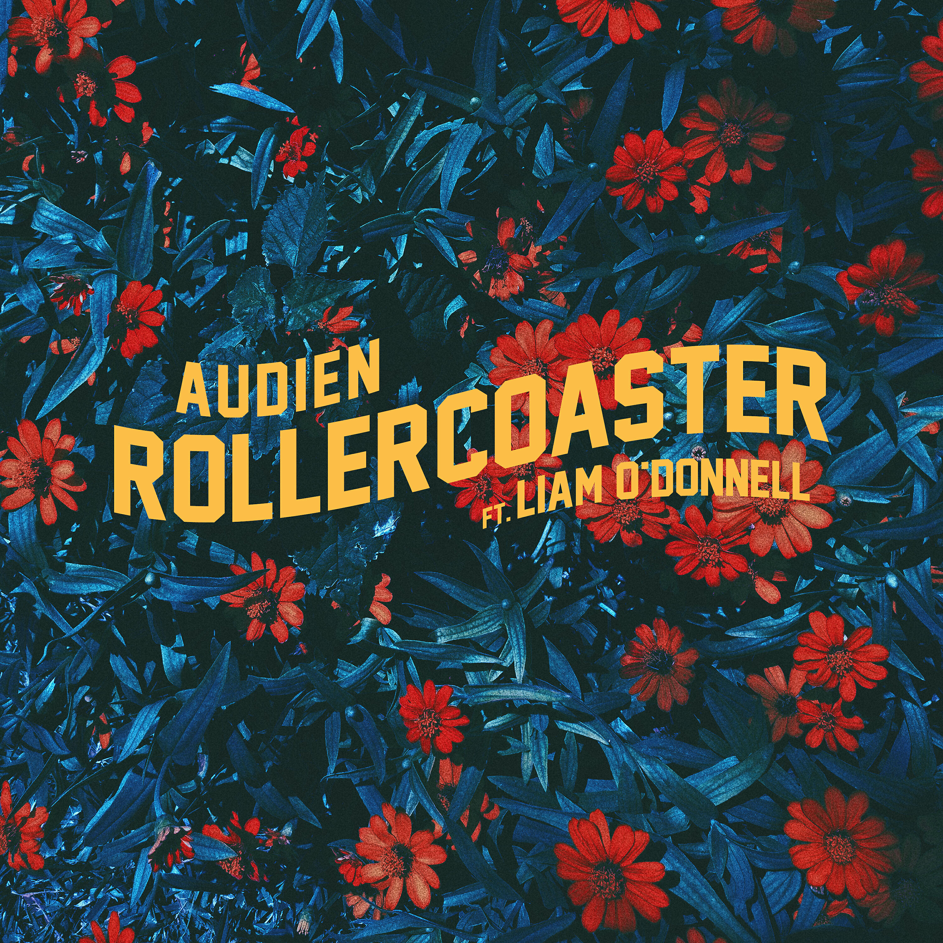 Релиз Rollercoaster
