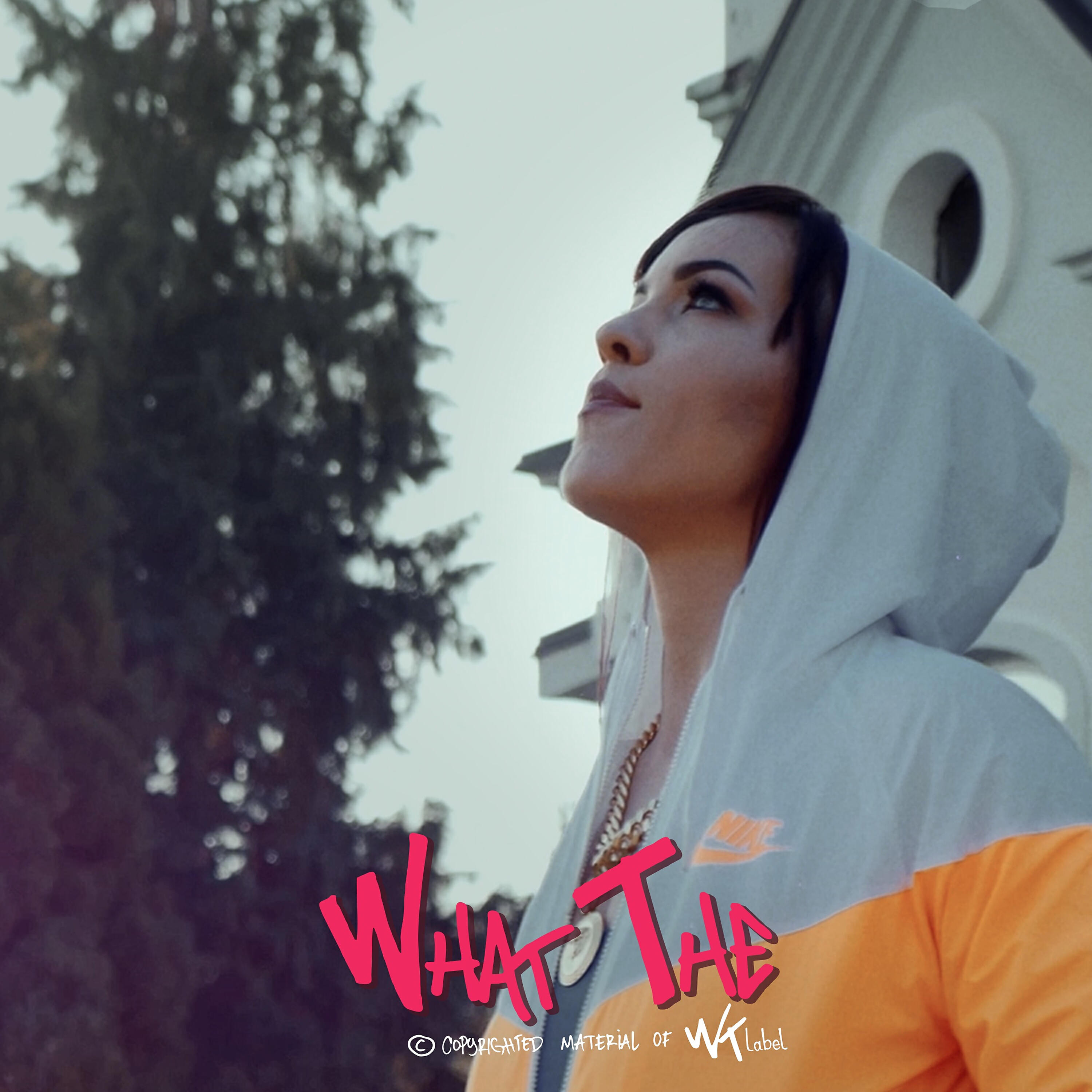 Релиз Zelim sve (feat. Mimi Mercedez)
