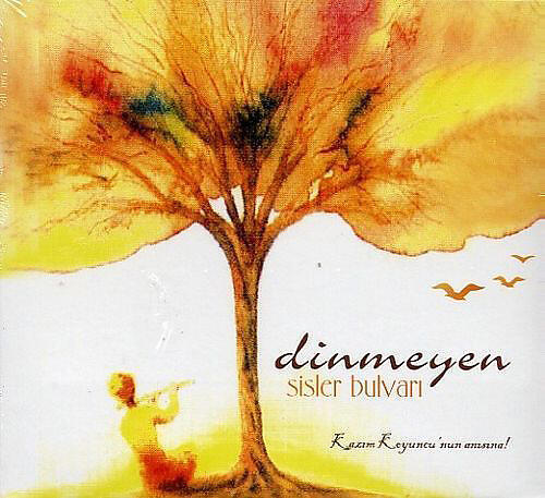 Dinmeyen