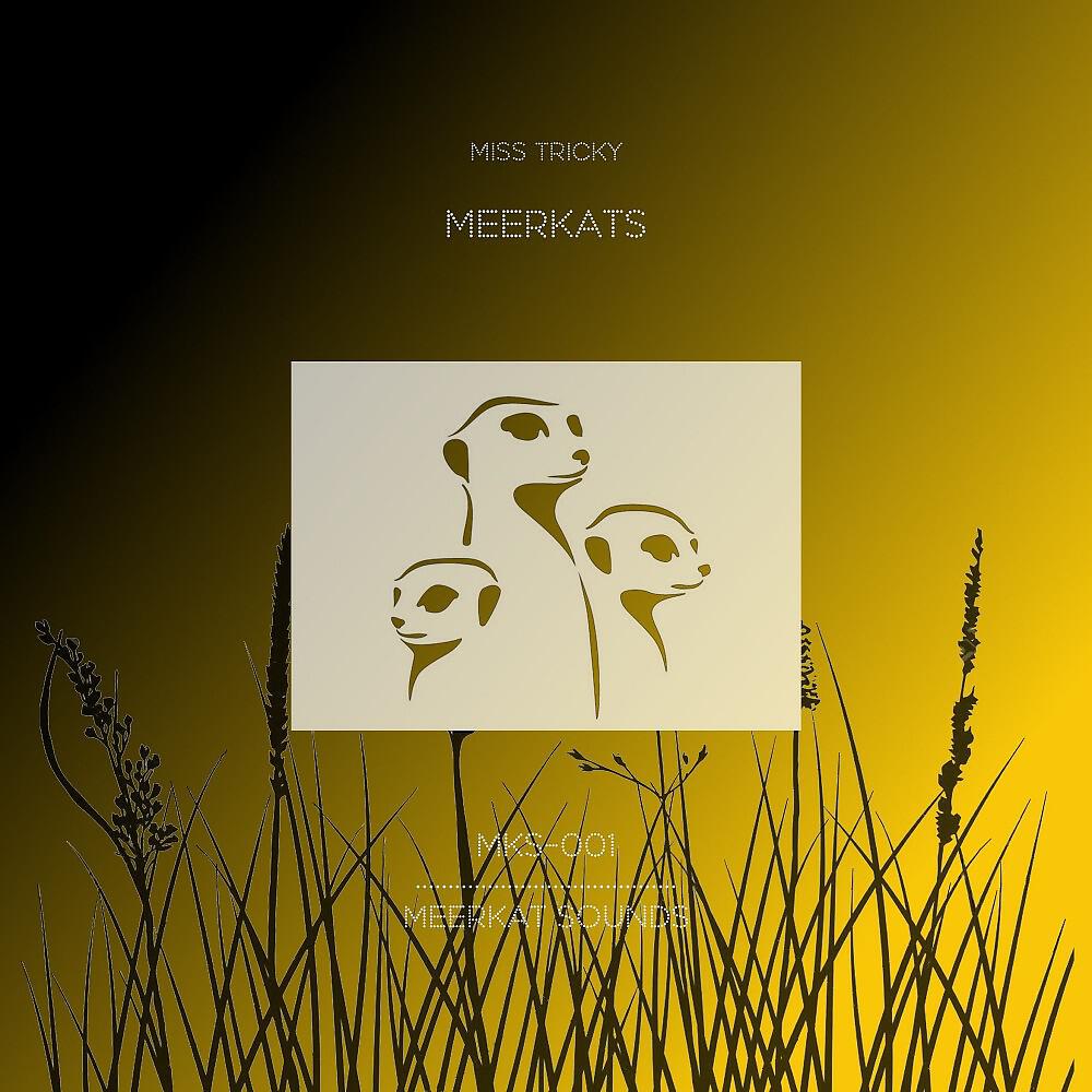 Релиз Meerkats