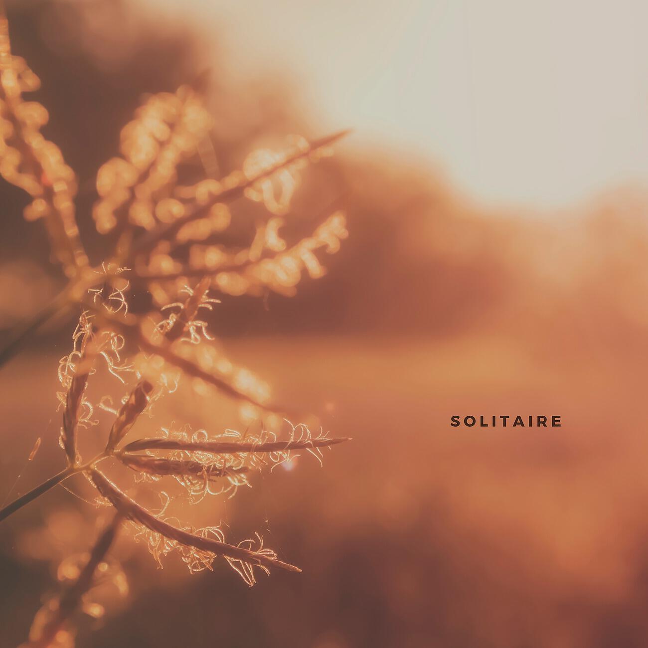 Релиз Solitaire
