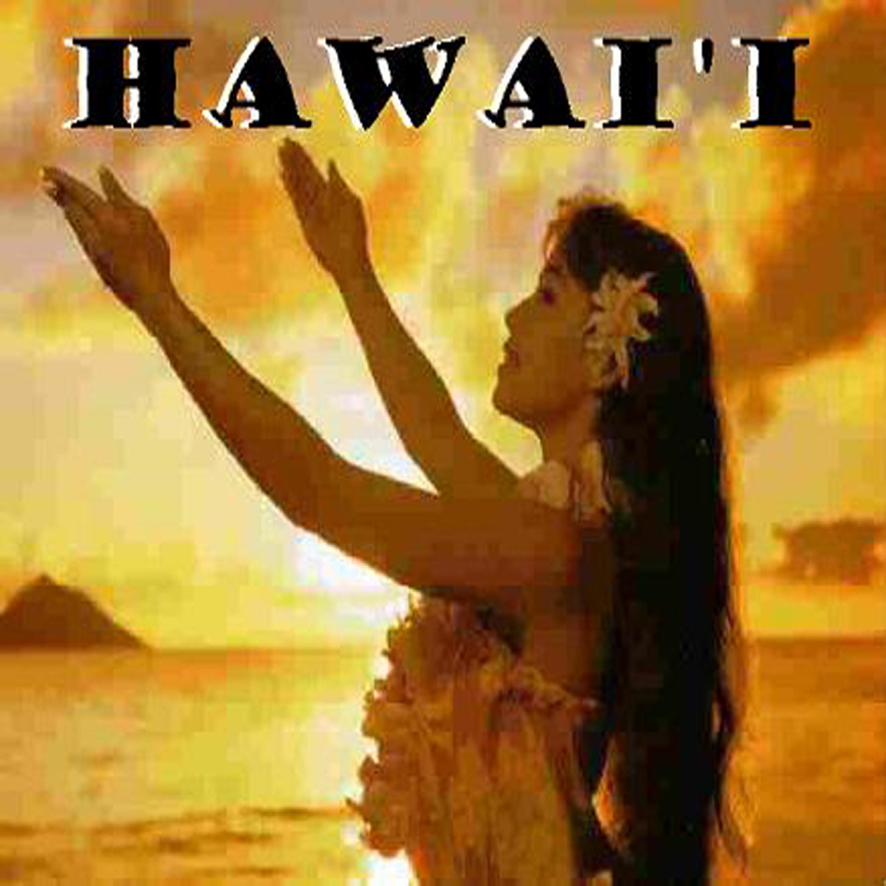 The hawaiin beat