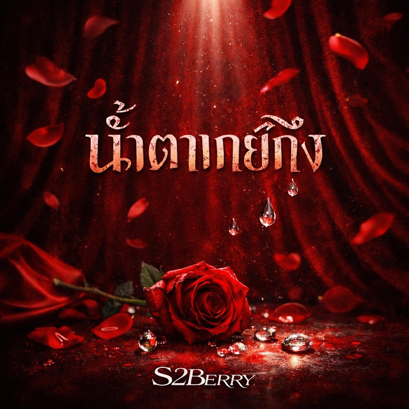 S2Berry