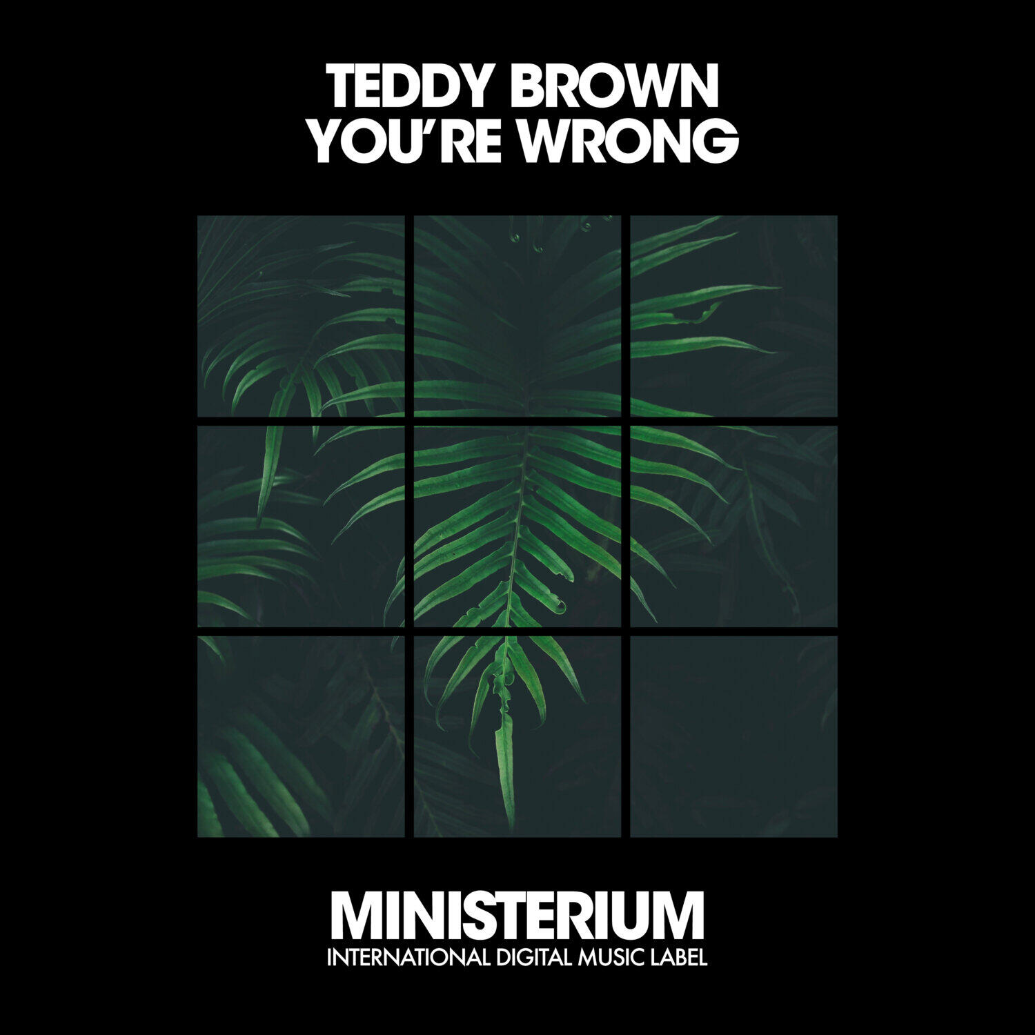 Релиз You're Wrong