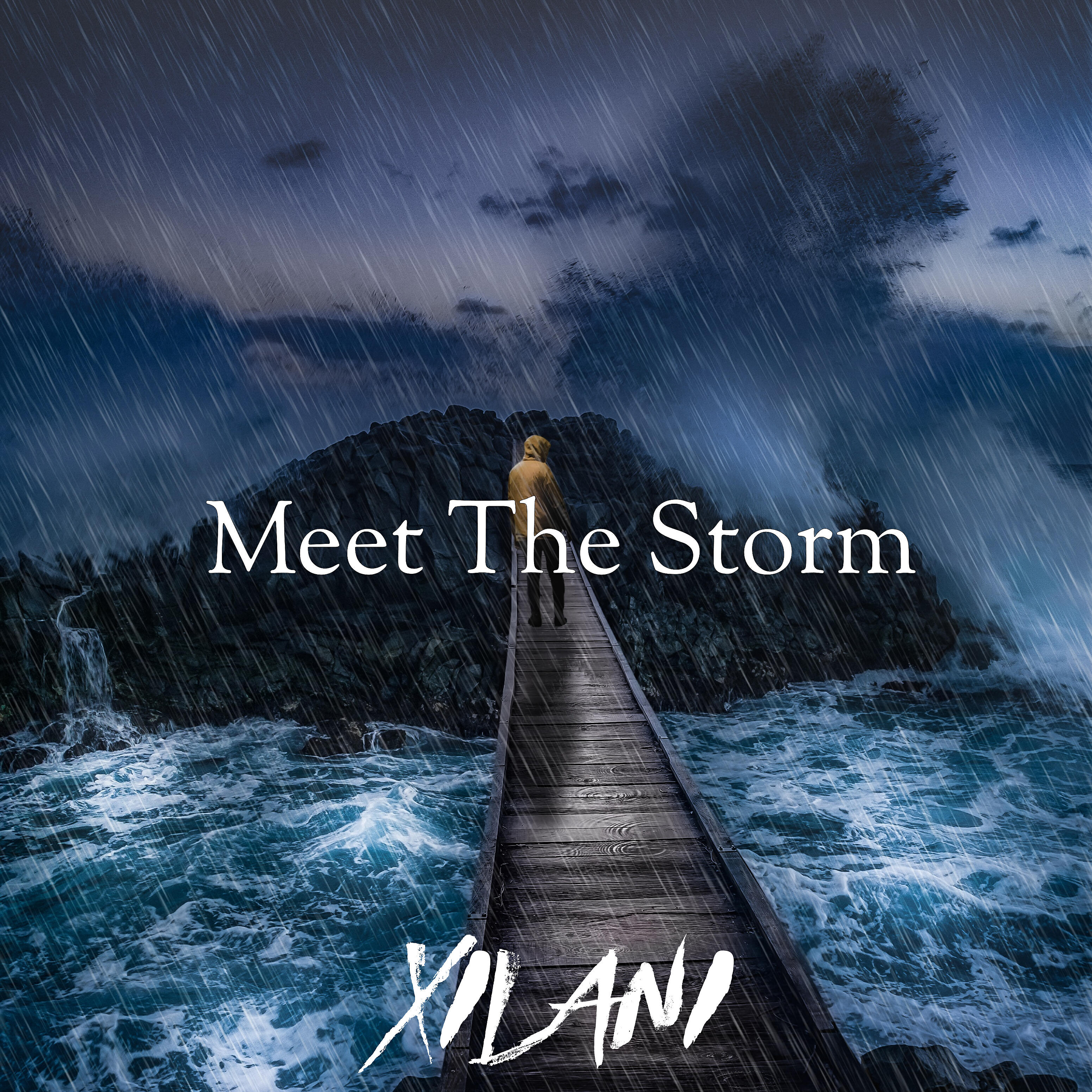 Релиз Meet the Storm
