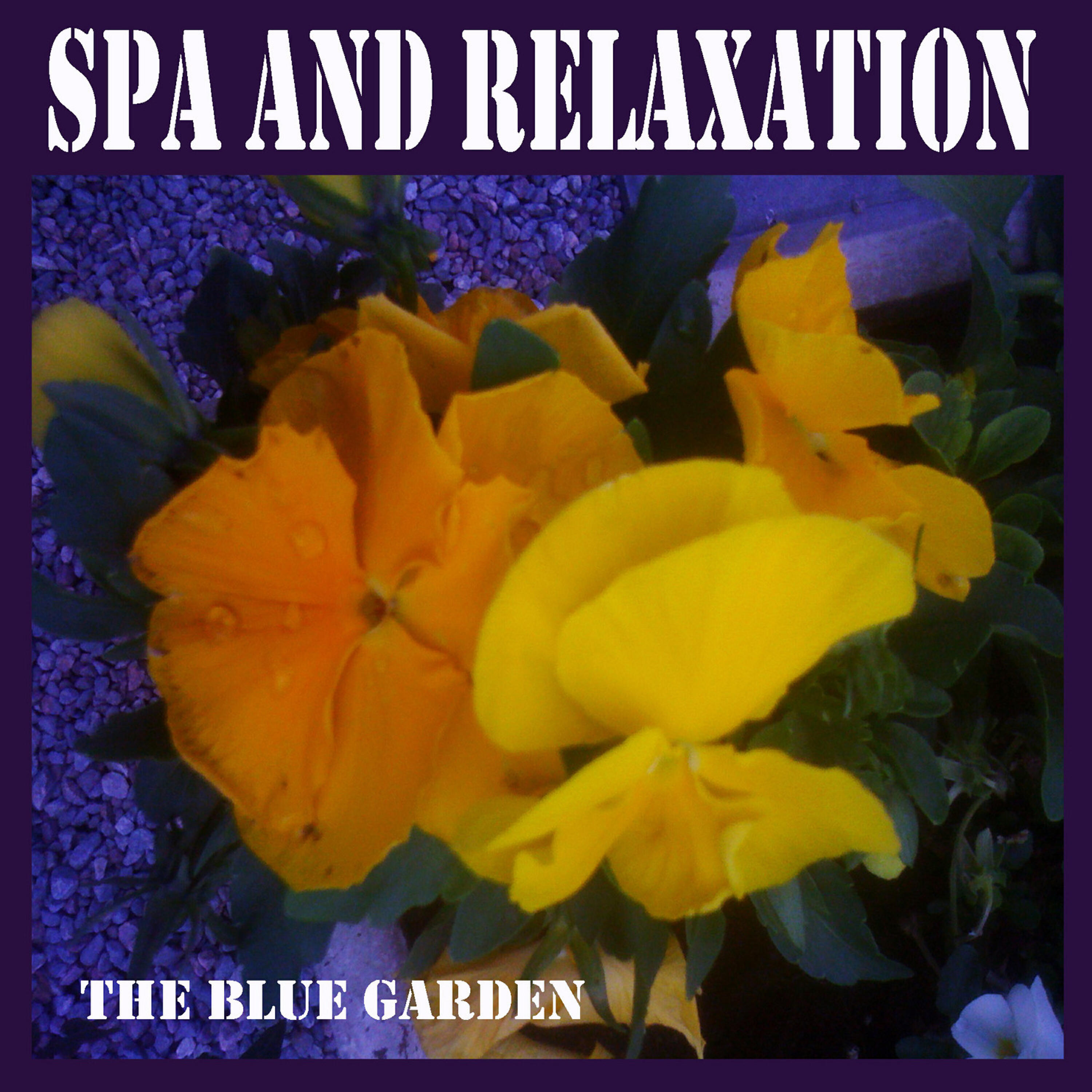 Релиз Spa and Relaxation