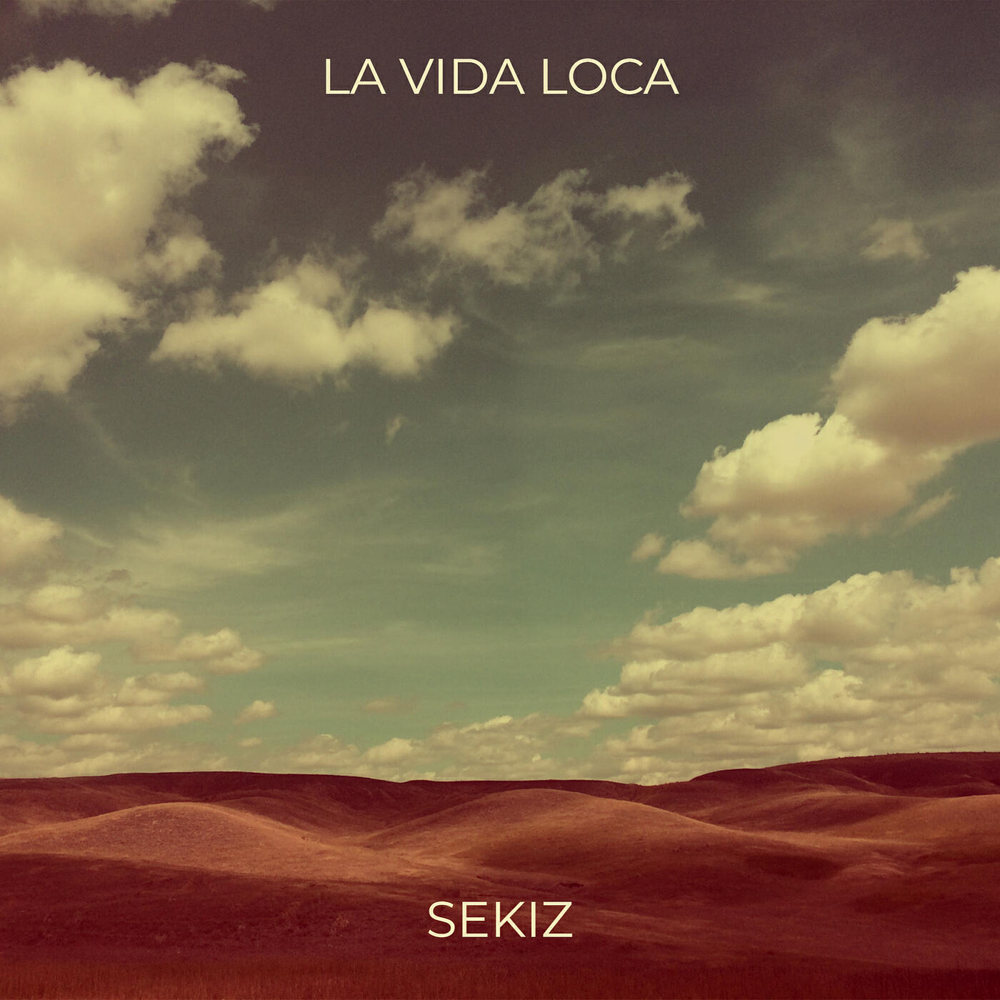 Постер альбома La Vida Loca