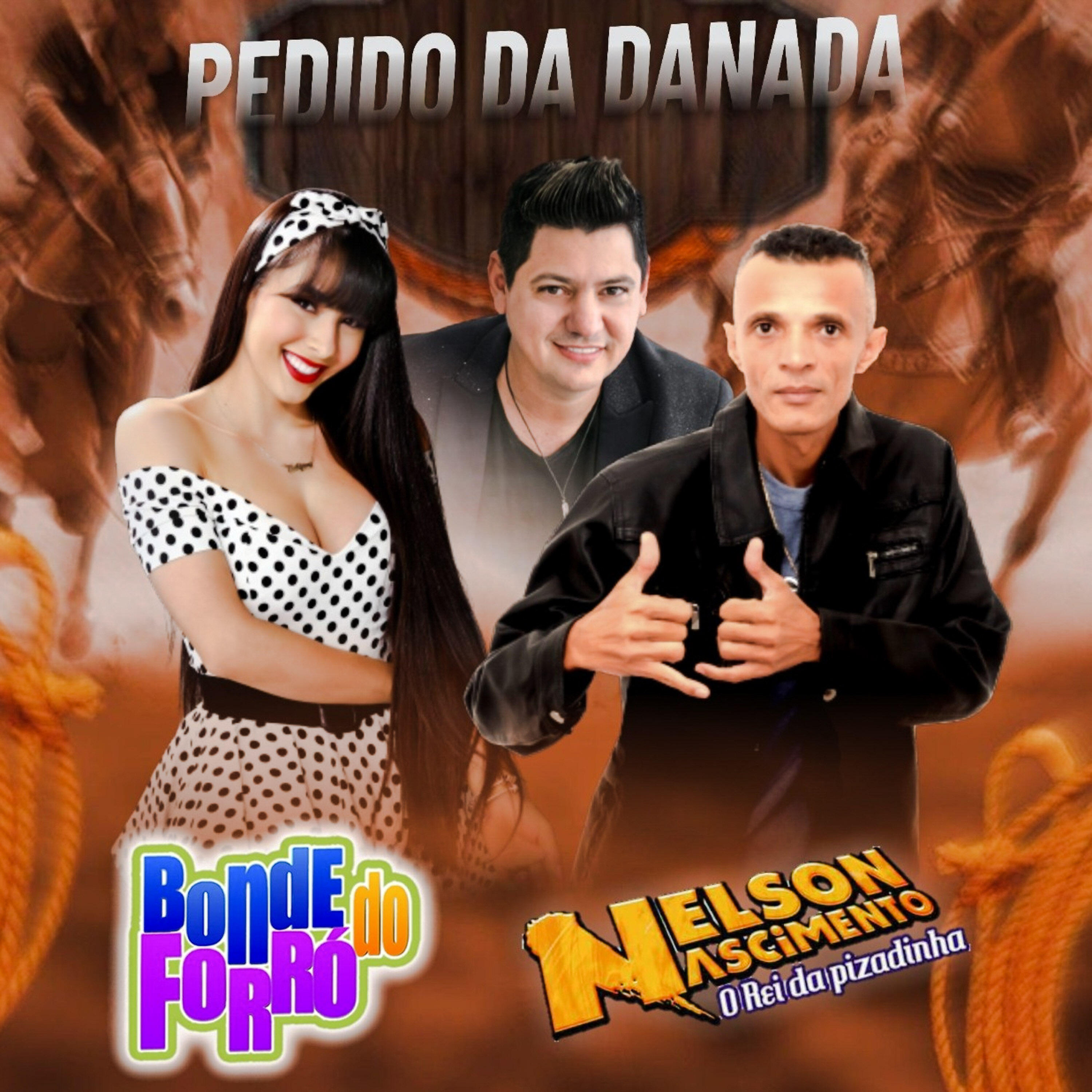 Релиз Pedido da Danada