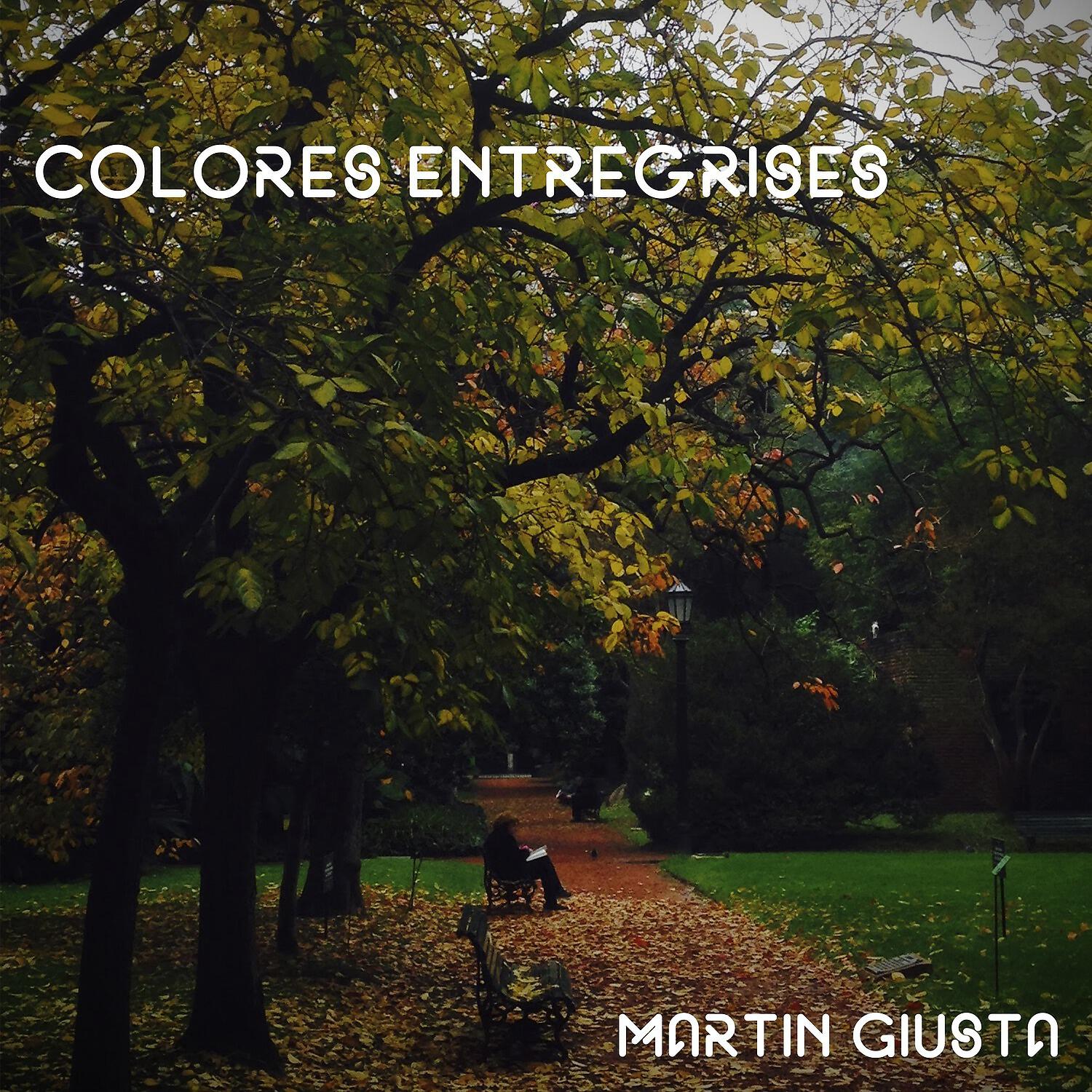 Постер альбома Colores entregrises