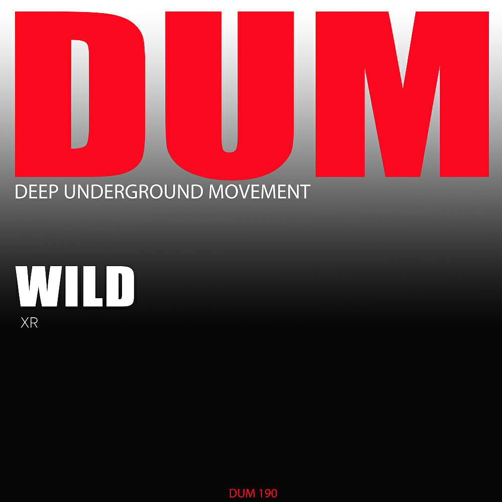 Релиз Wild