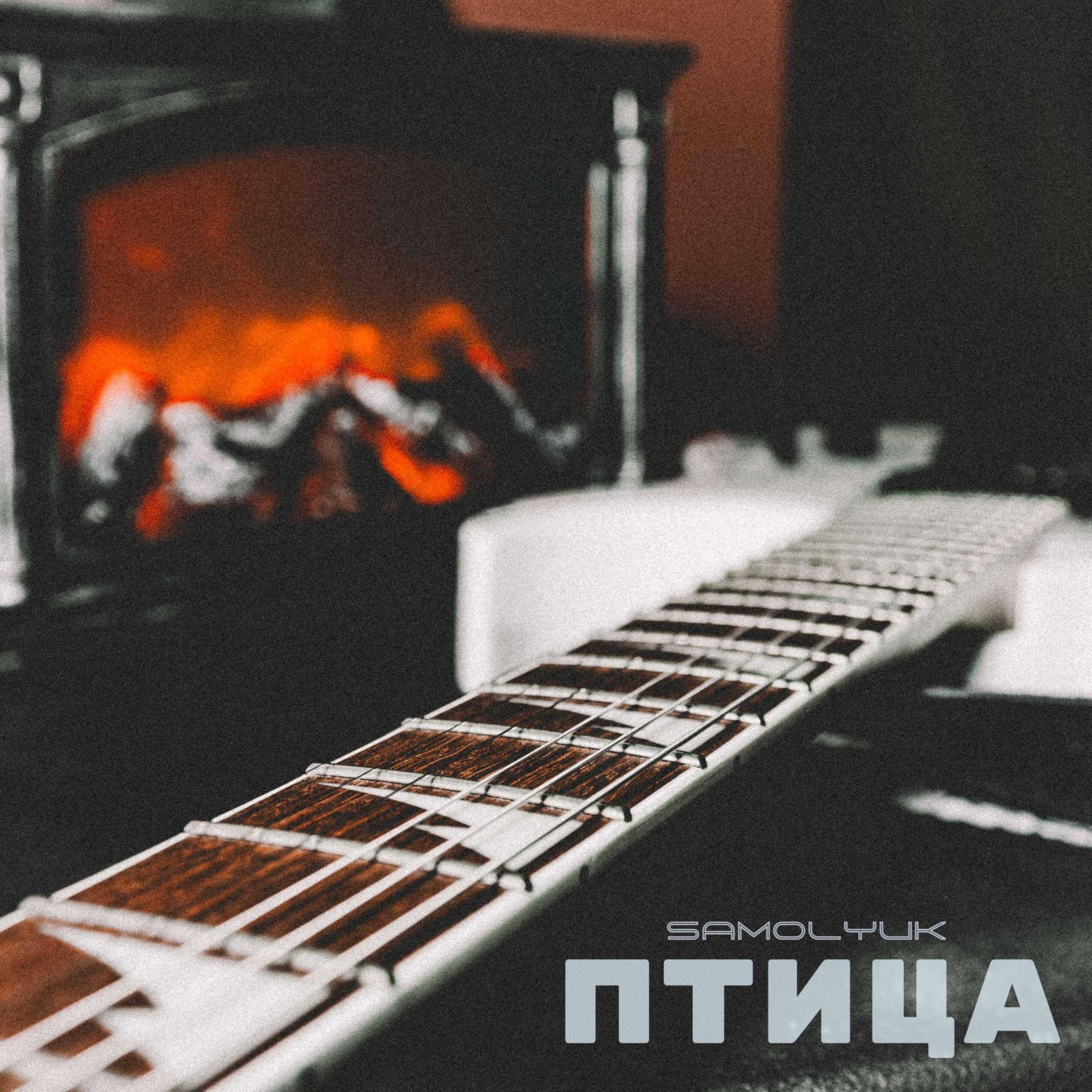 Релиз Птица