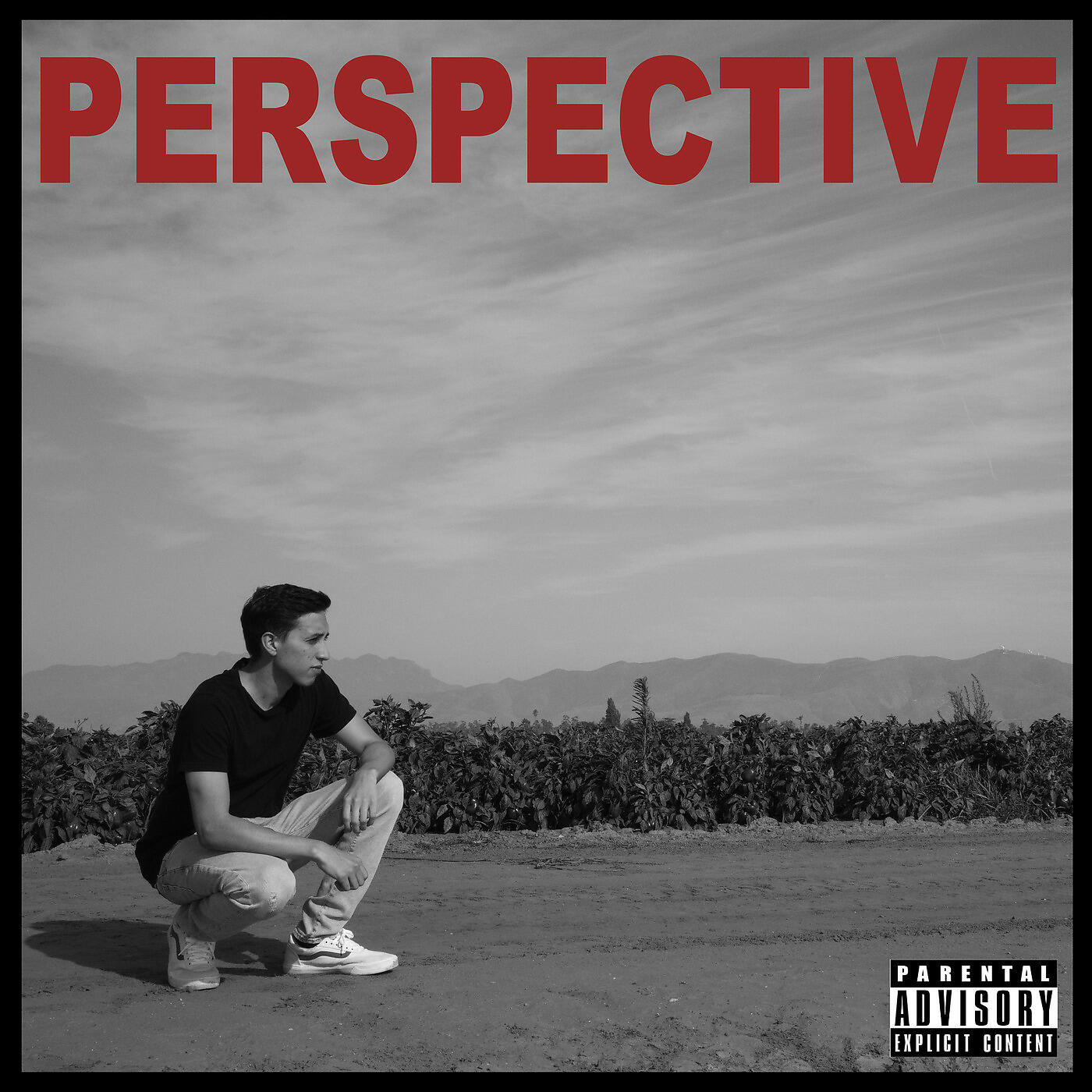 Постер альбома Perspective