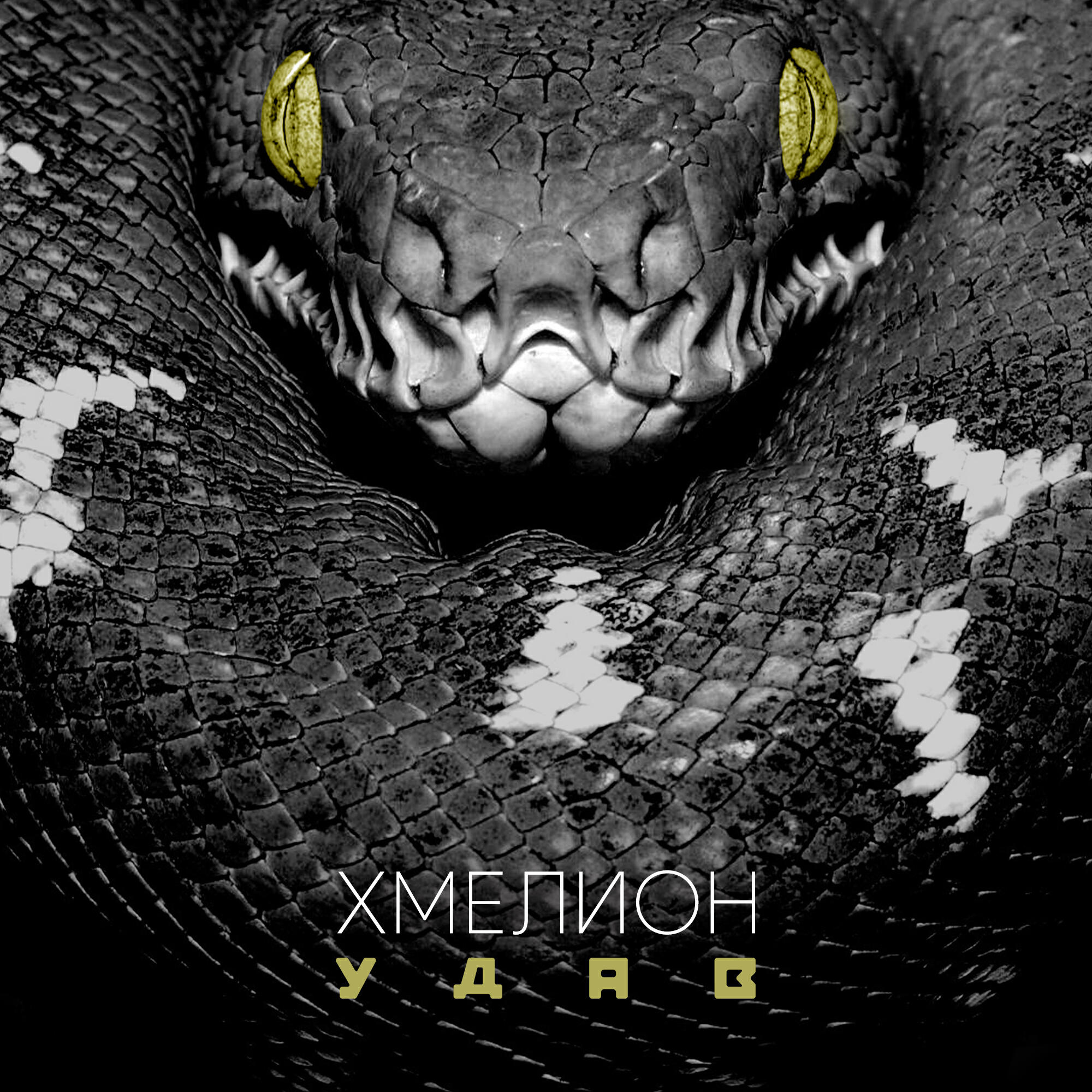 Релиз Удав (feat. Антон Ширяев)