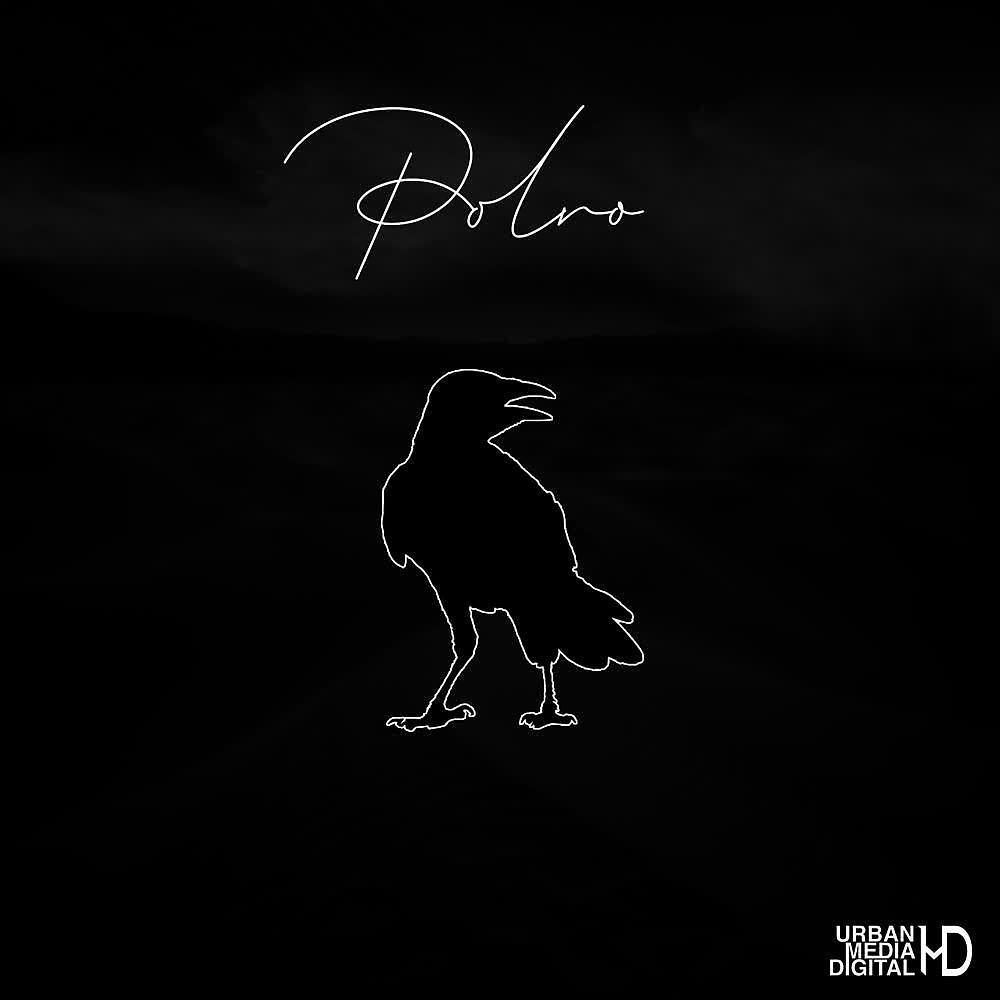Релиз Polvo