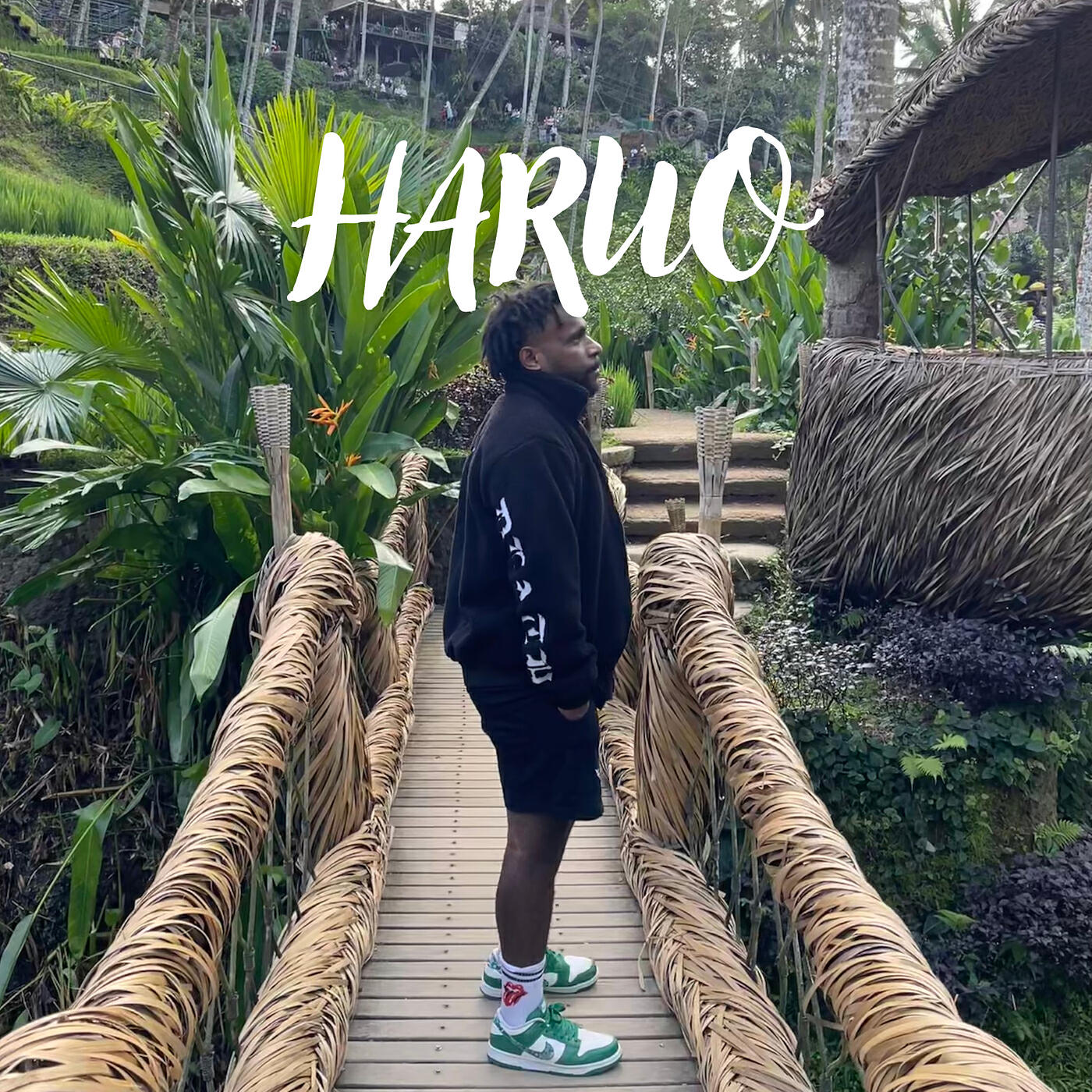 Релиз Haruo