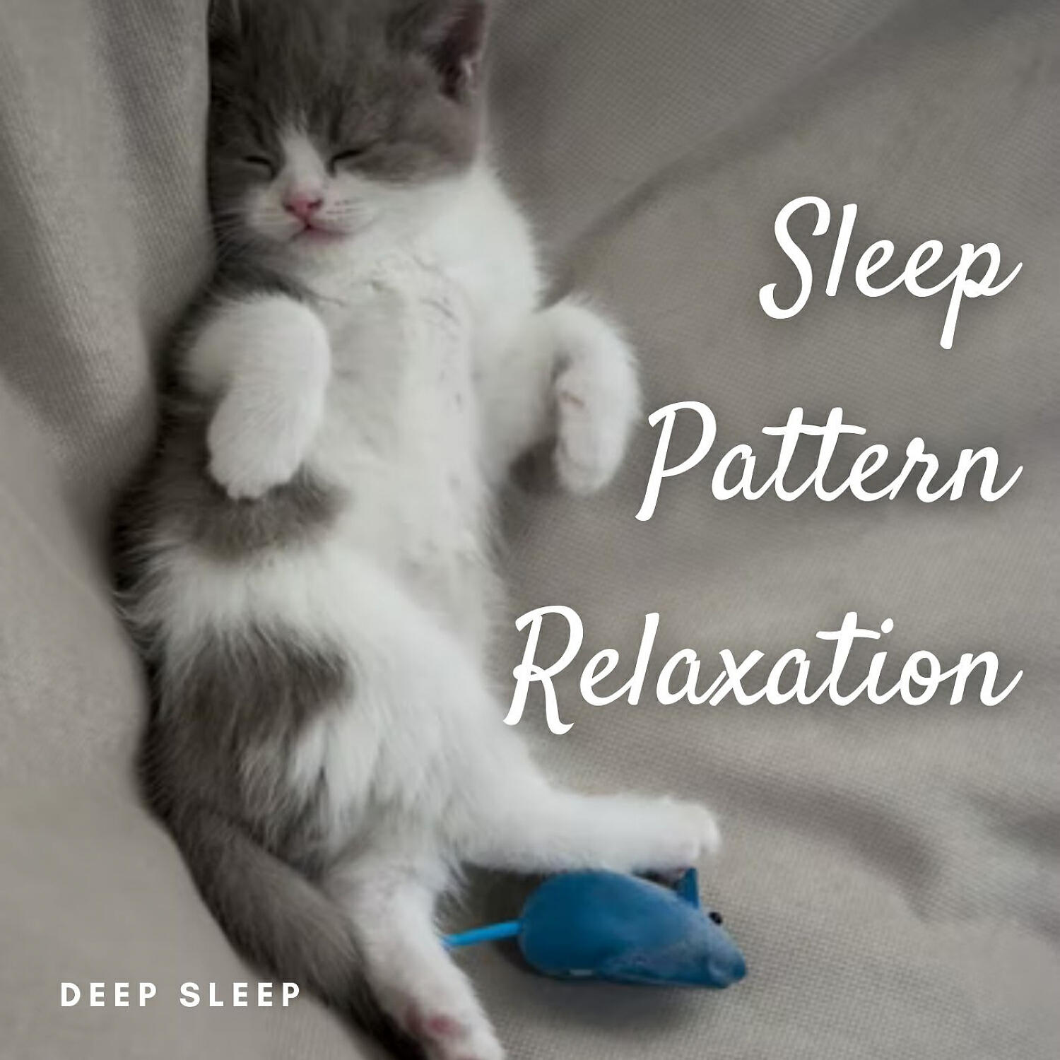Релиз Deep Sleep: Sleep Pattern Relaxation