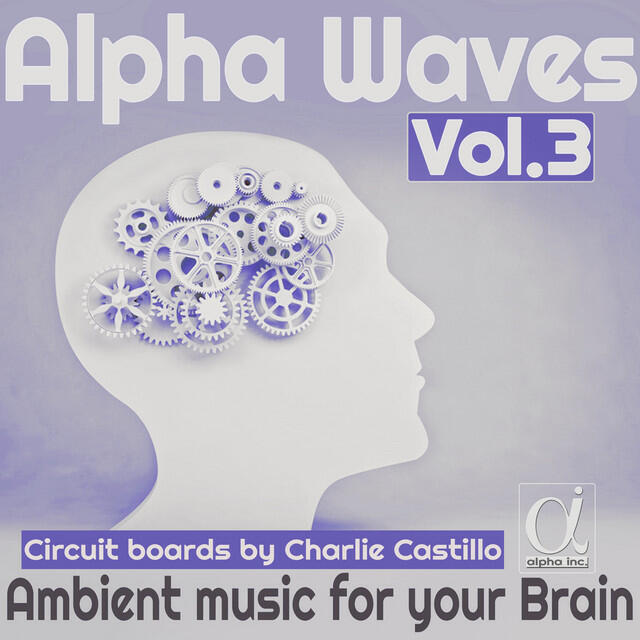 Релиз Circuit Boards