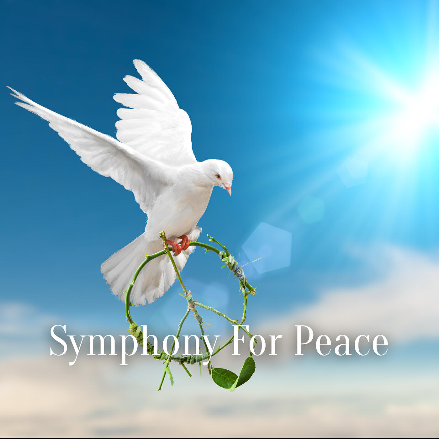 Релиз Symphony for Peace