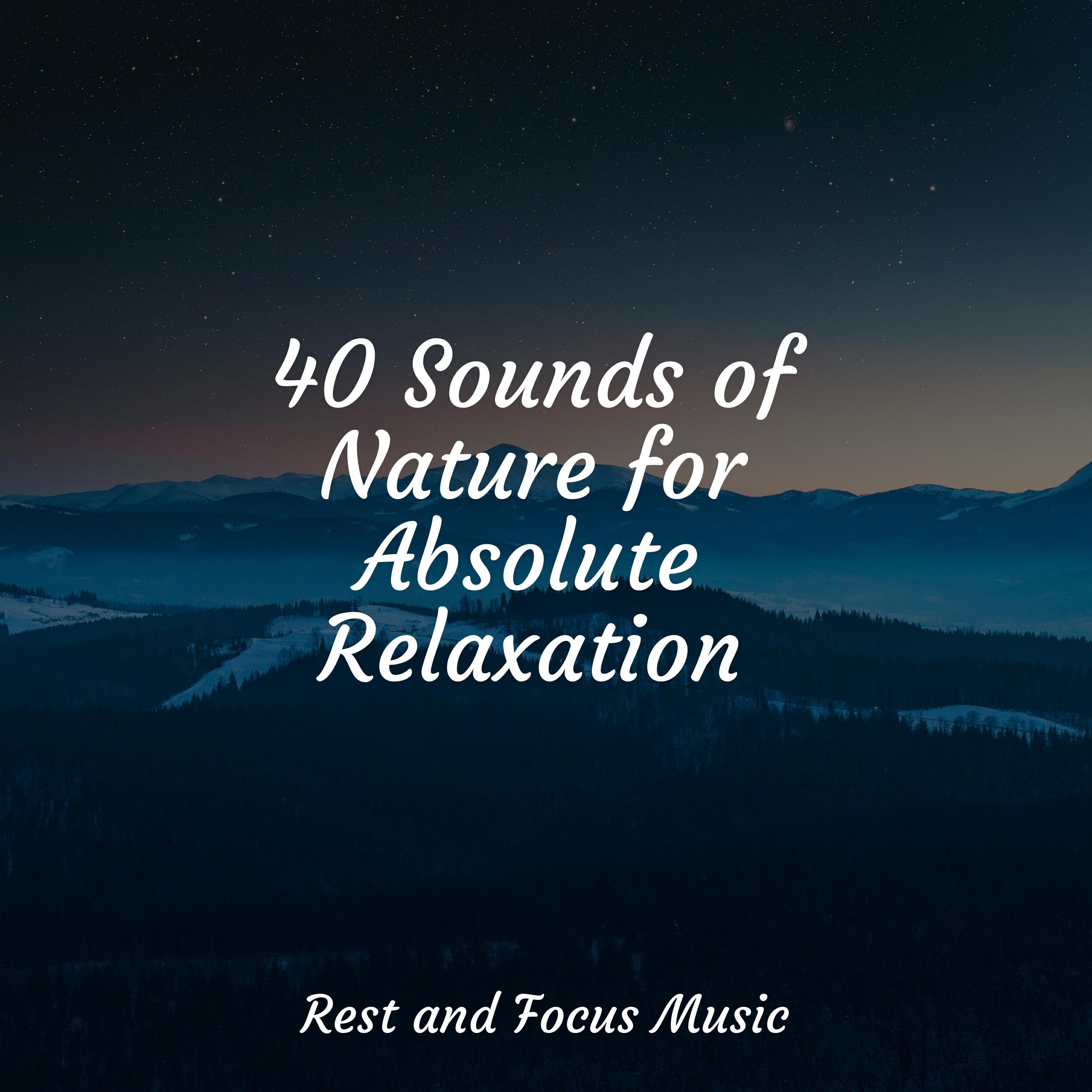 Релиз 40 Sounds of Nature for Absolute Relaxation