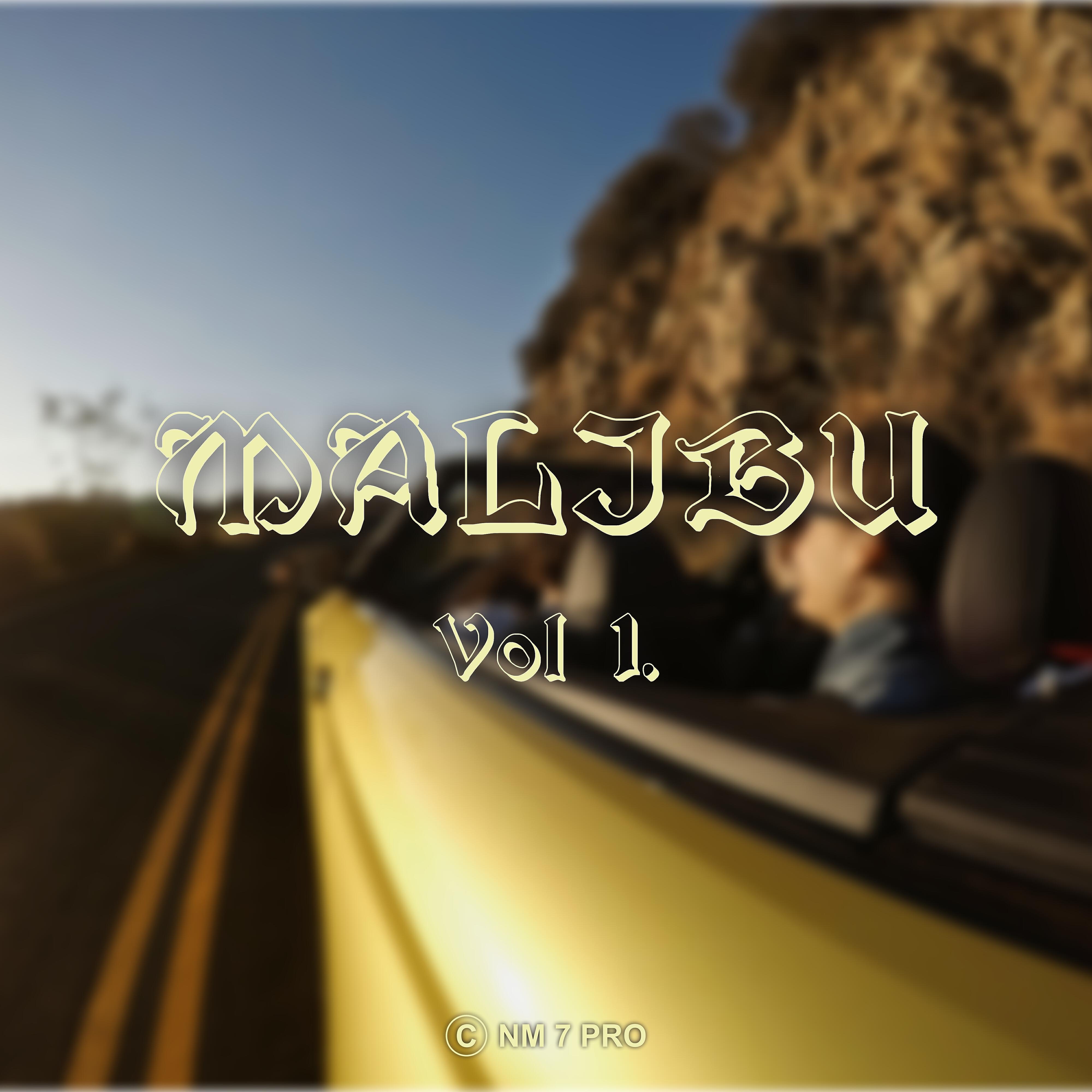 Релиз Malibu Vol. 1
