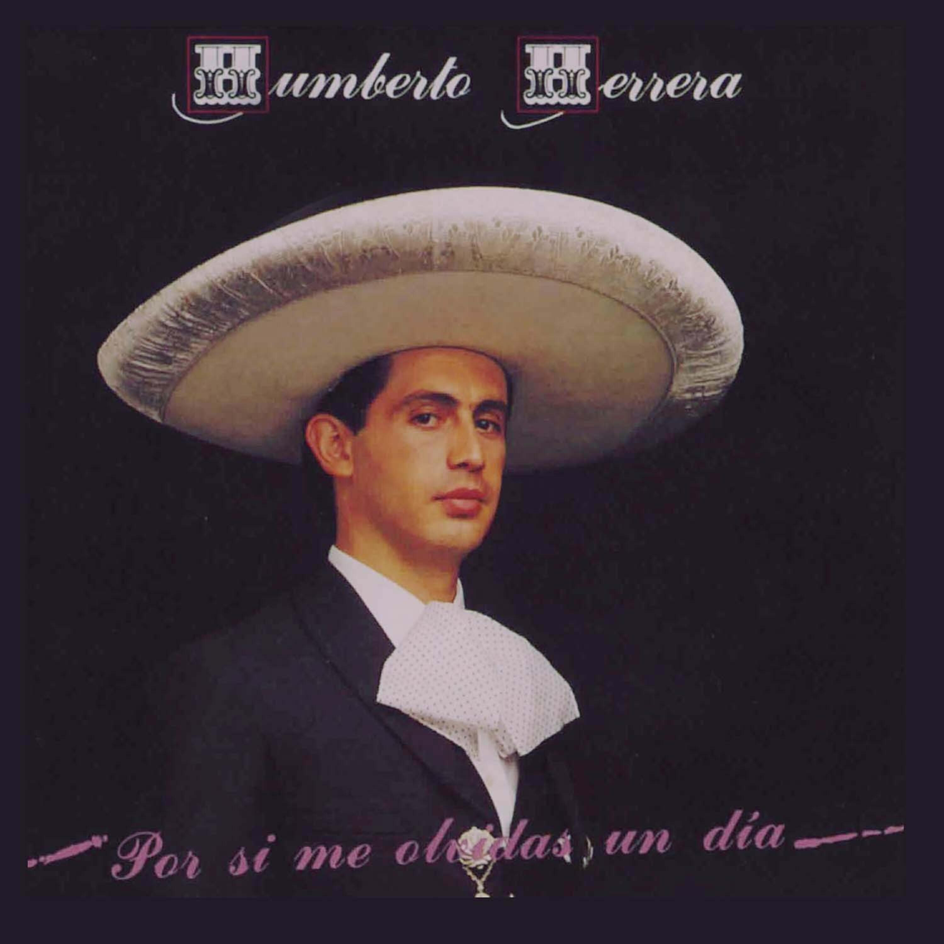 Релиз Por Si Me Olvidas un Dia