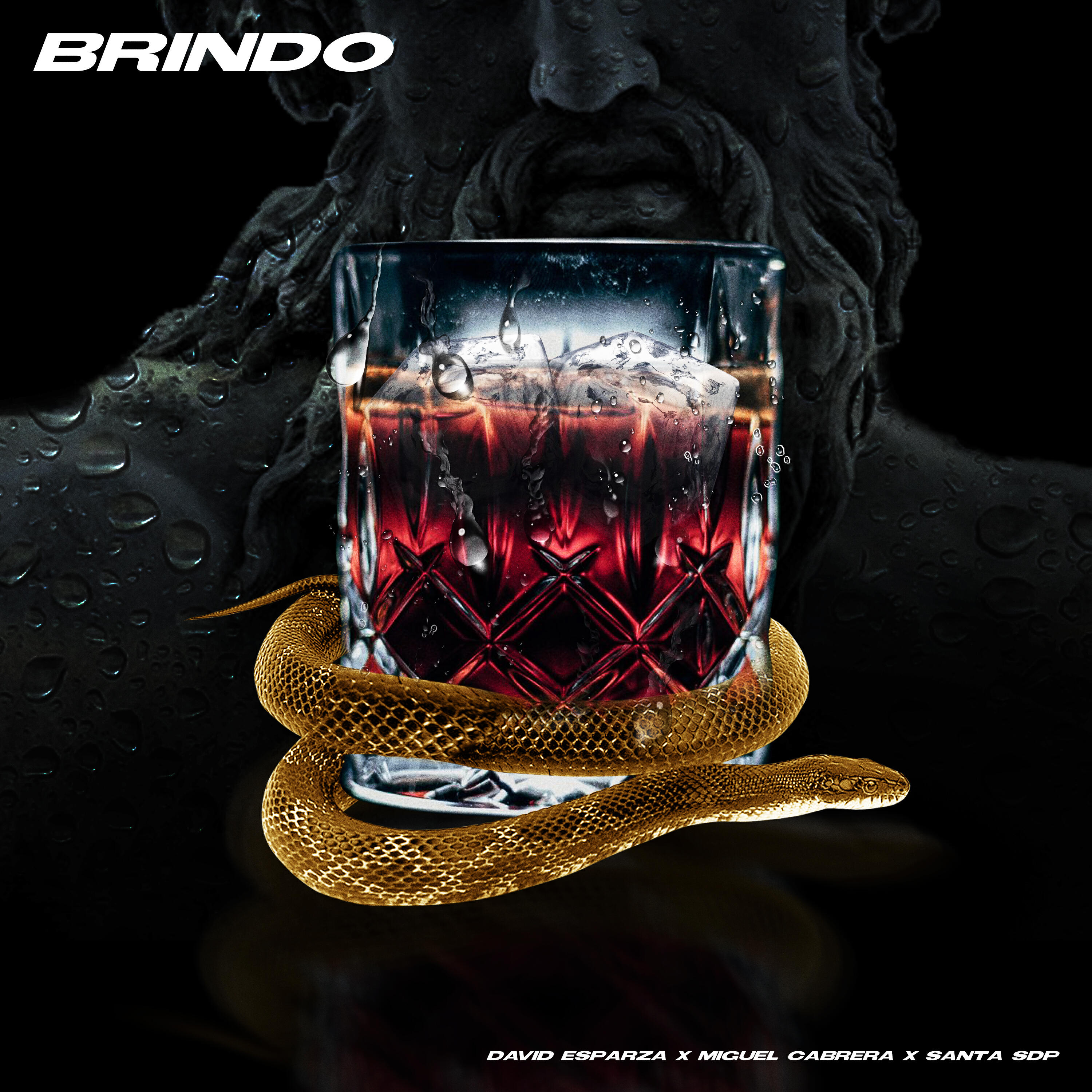 Релиз Brindo