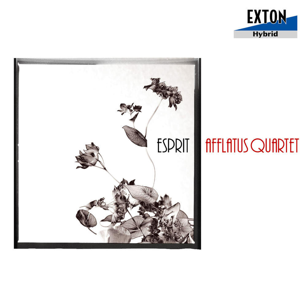 Afflatus Quartet