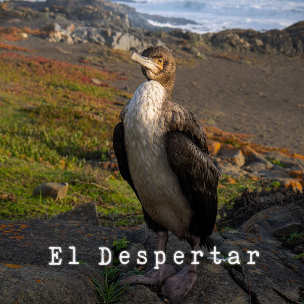 Релиз El Despertar