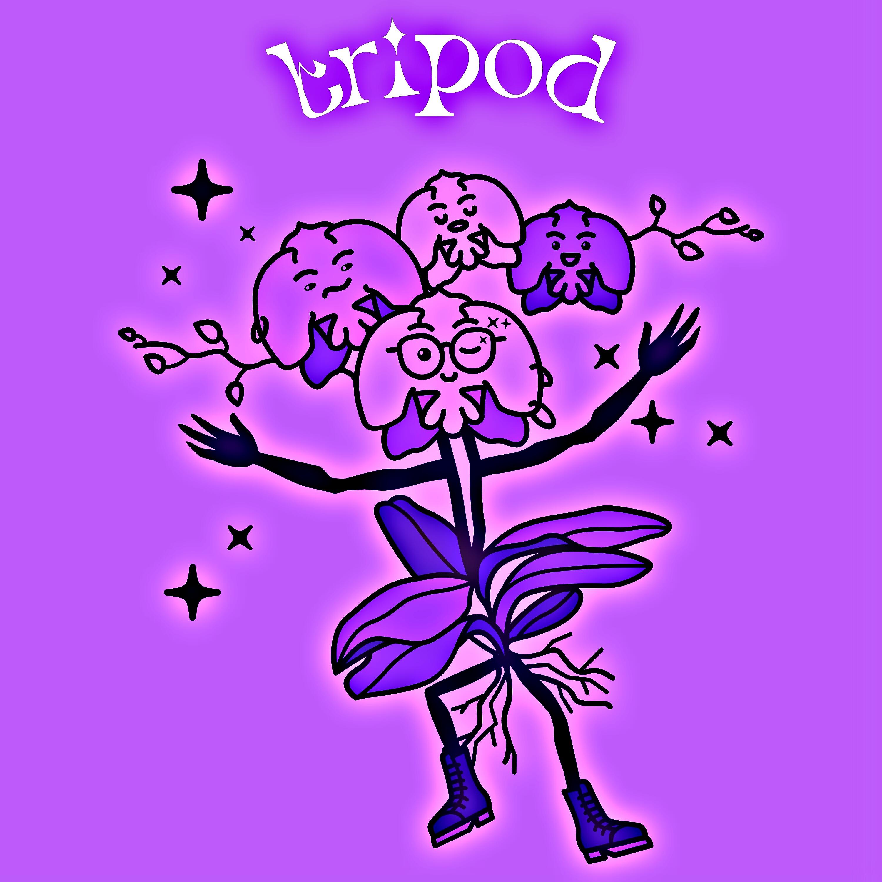 Релиз Tripod