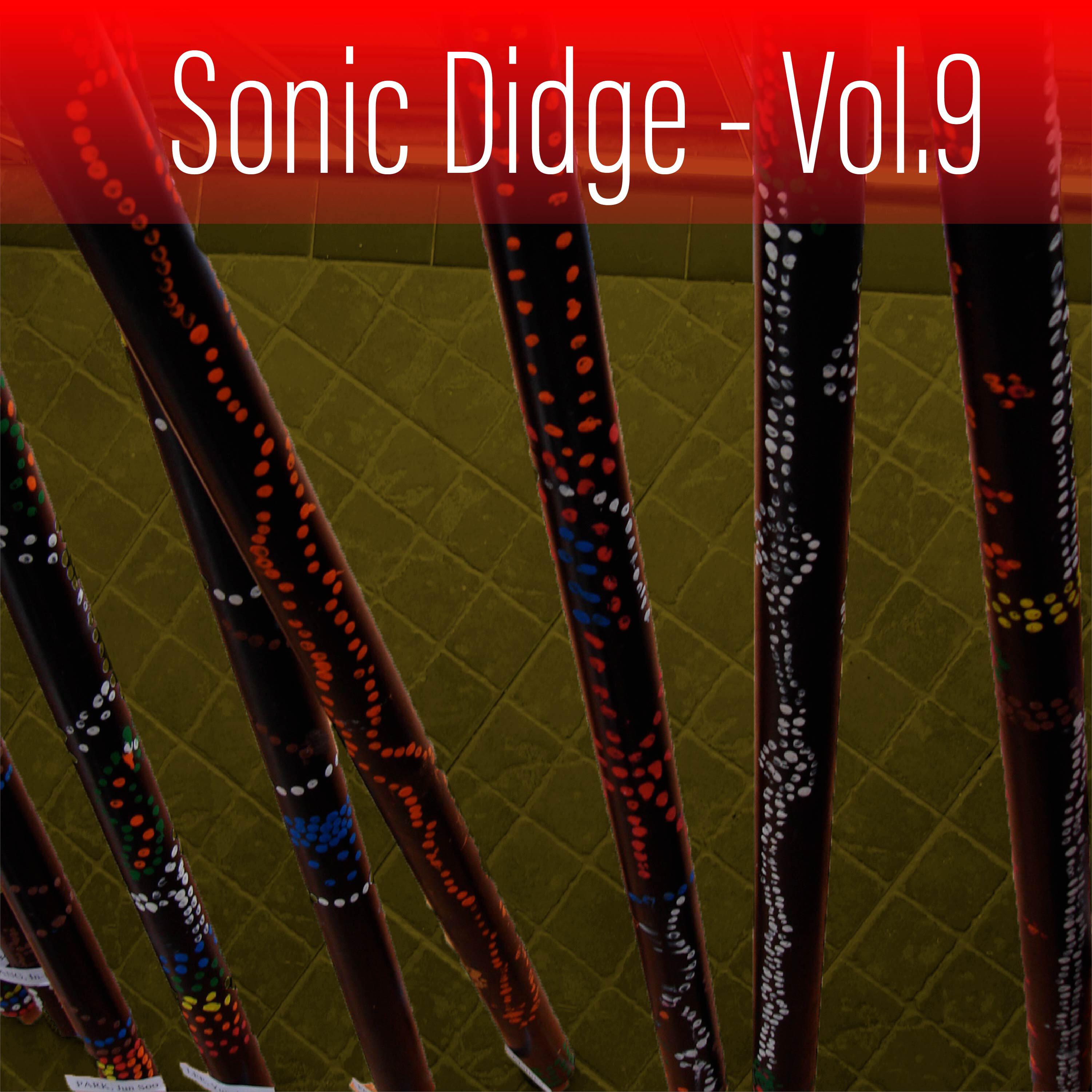 Релиз Sonic Didge, Vol. 9